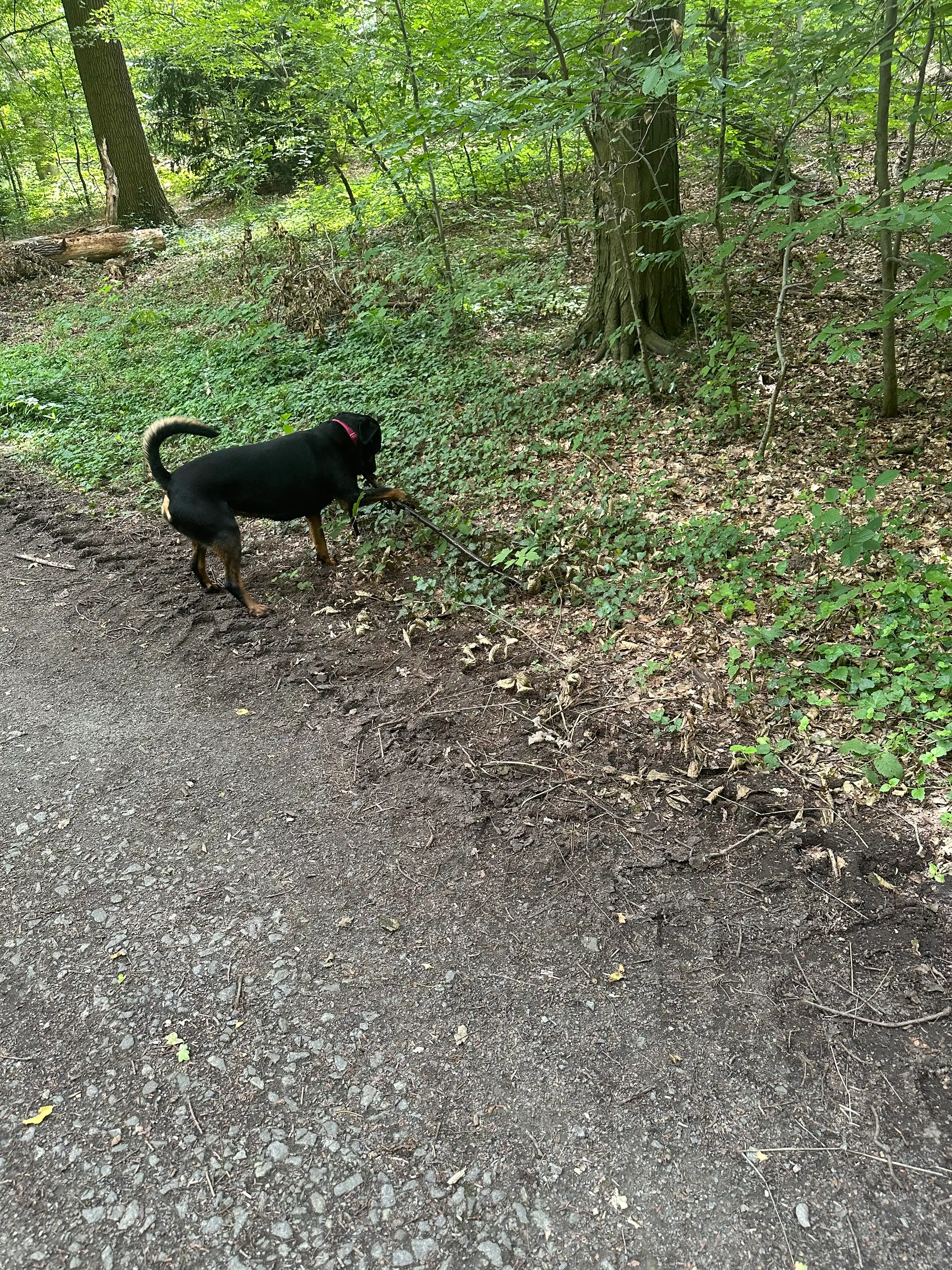 image-12