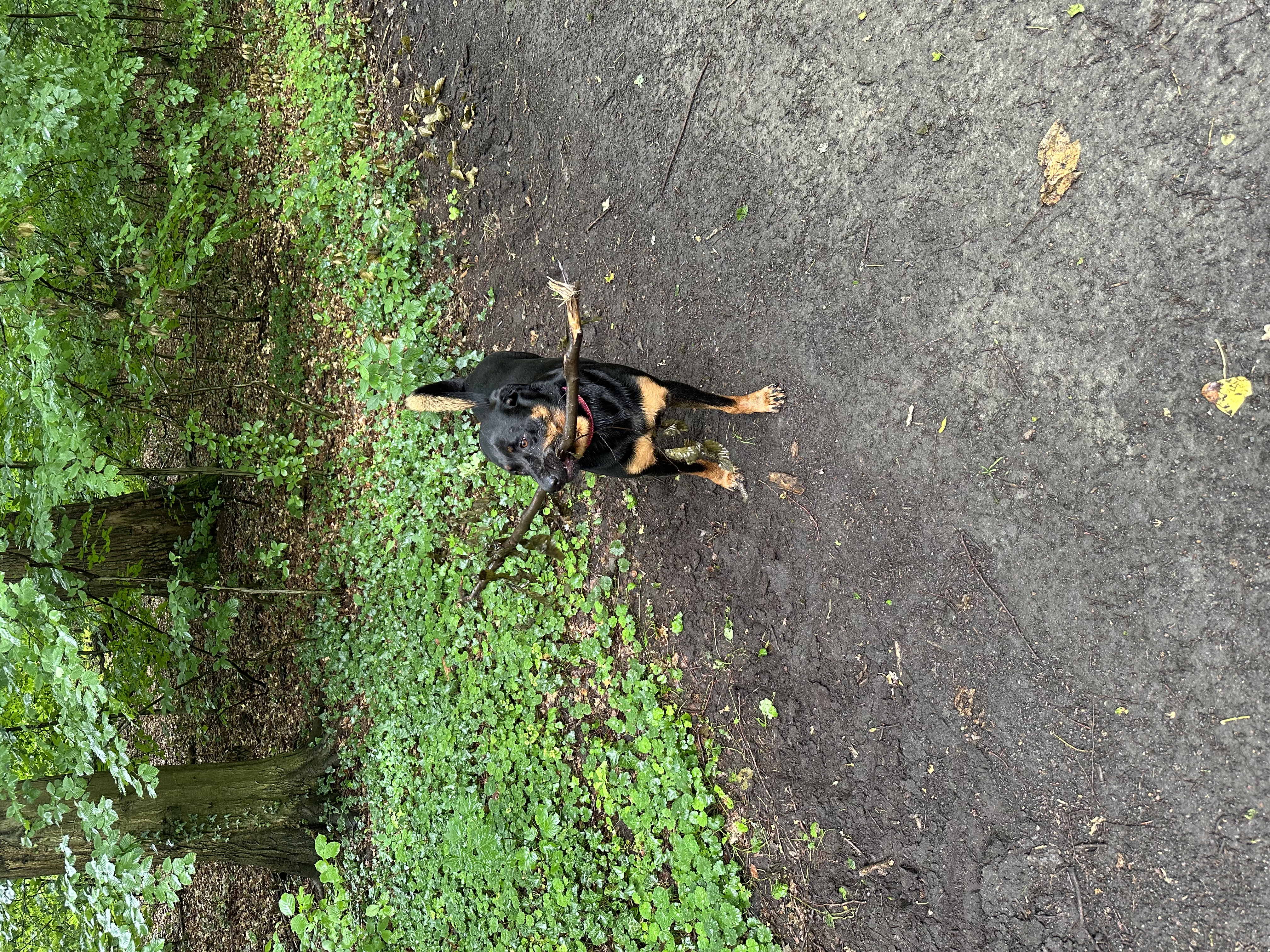 image-16