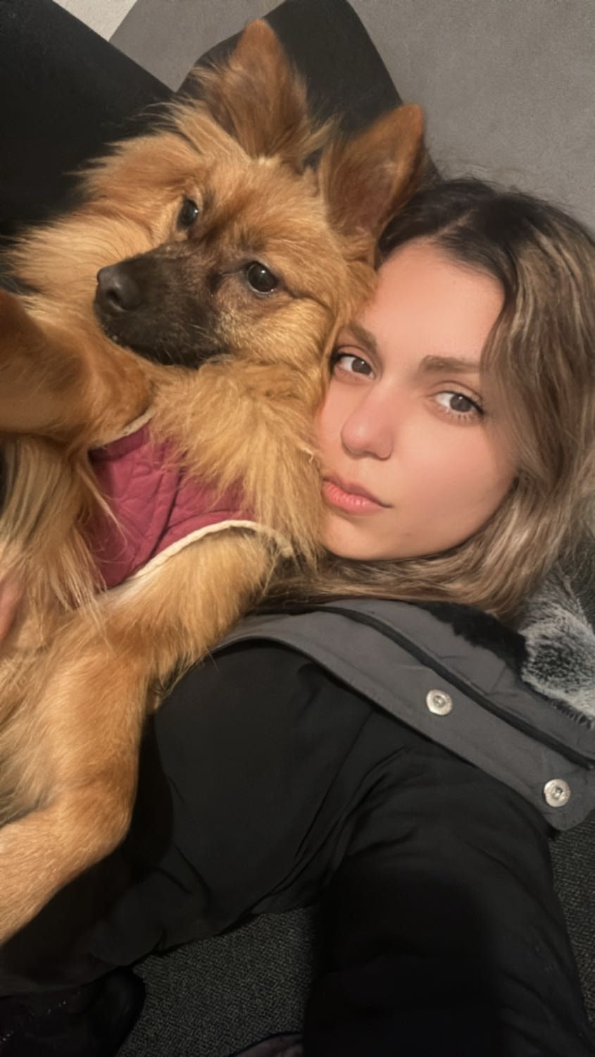 image-11