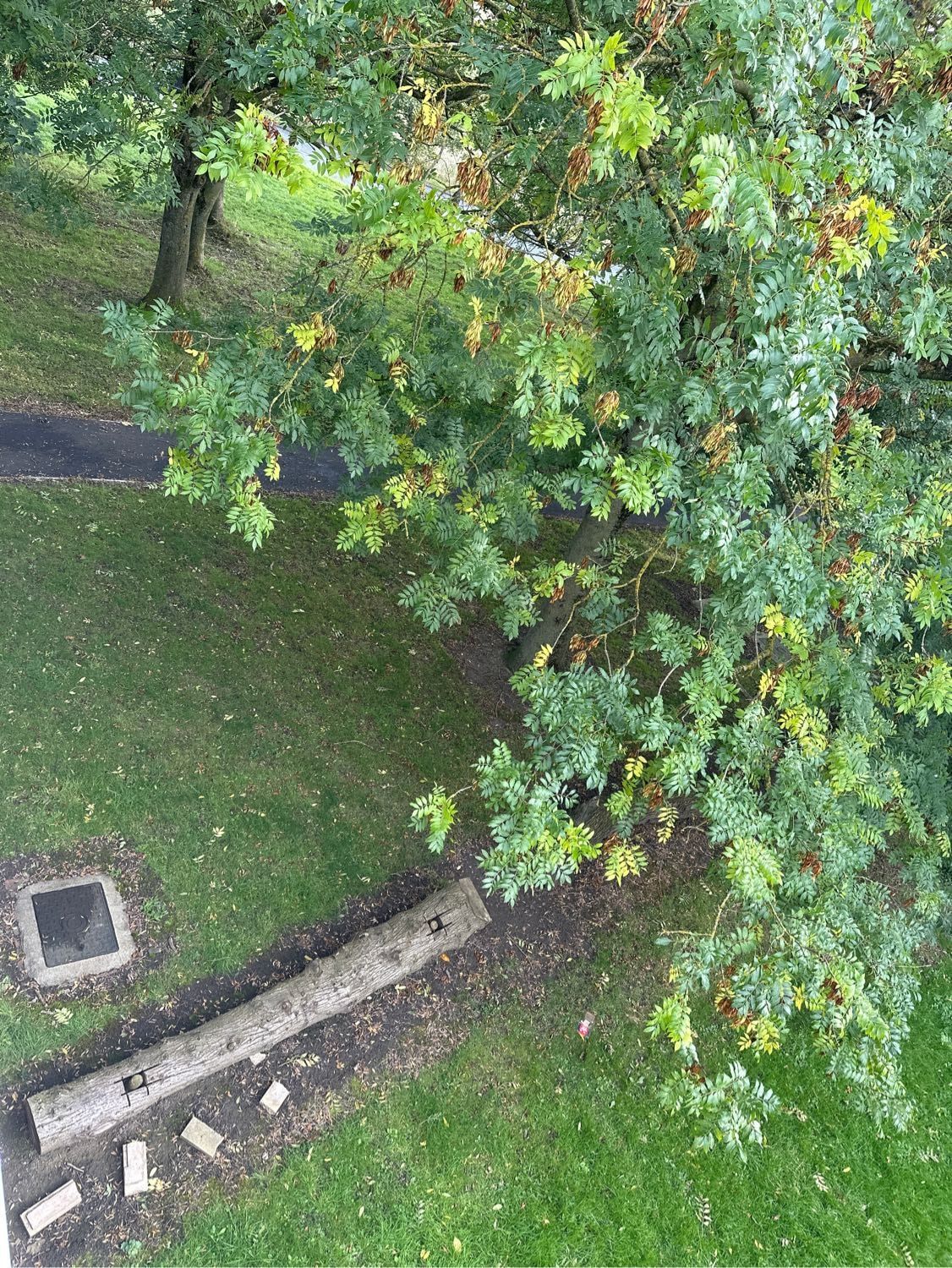 image-9