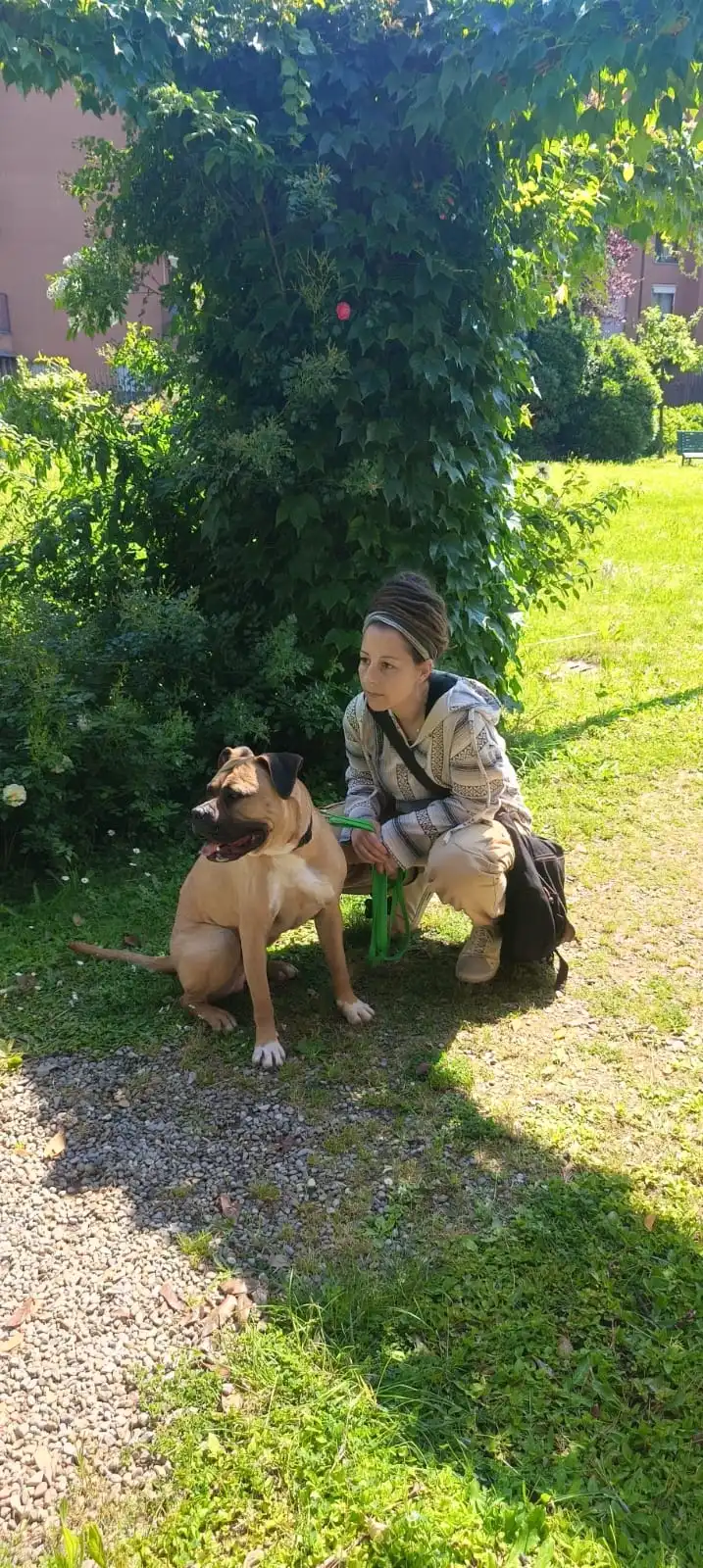 image-8