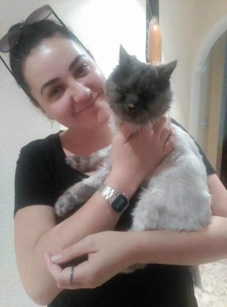 image-8