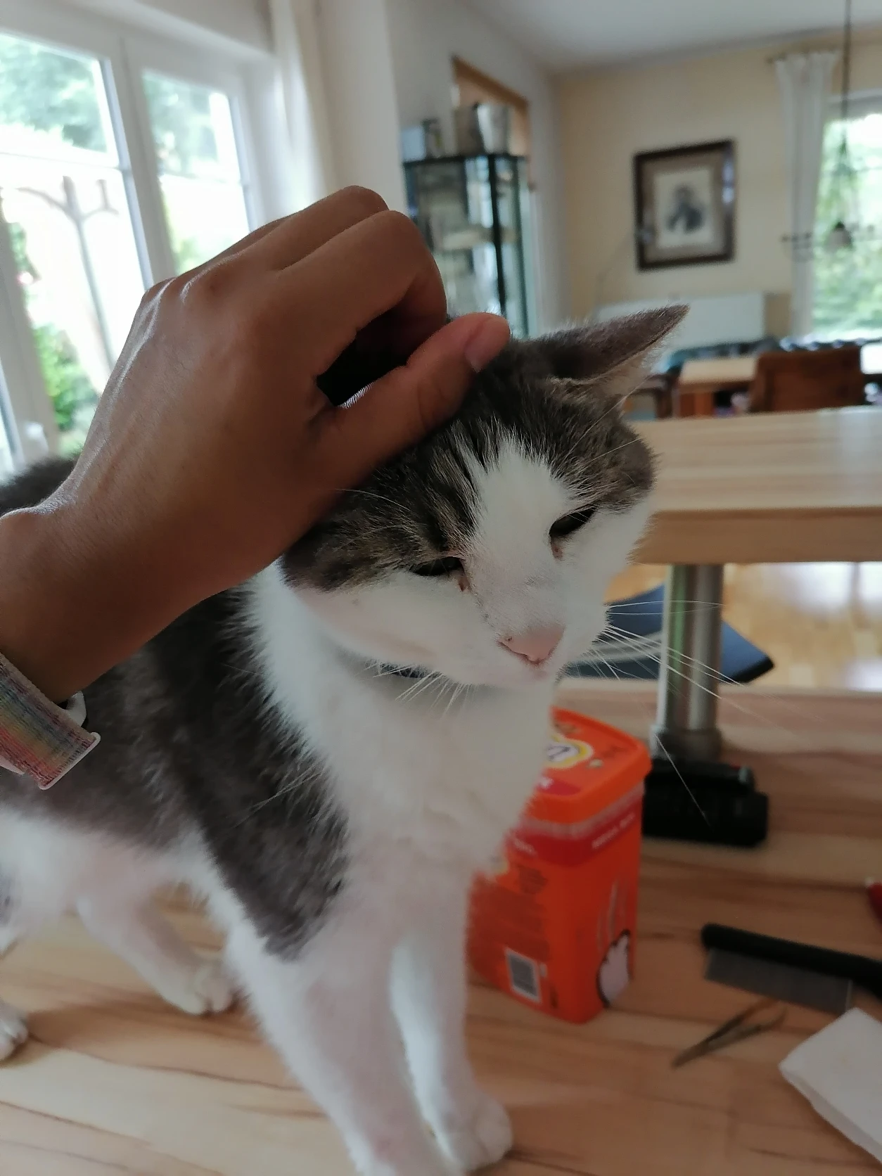 image-5