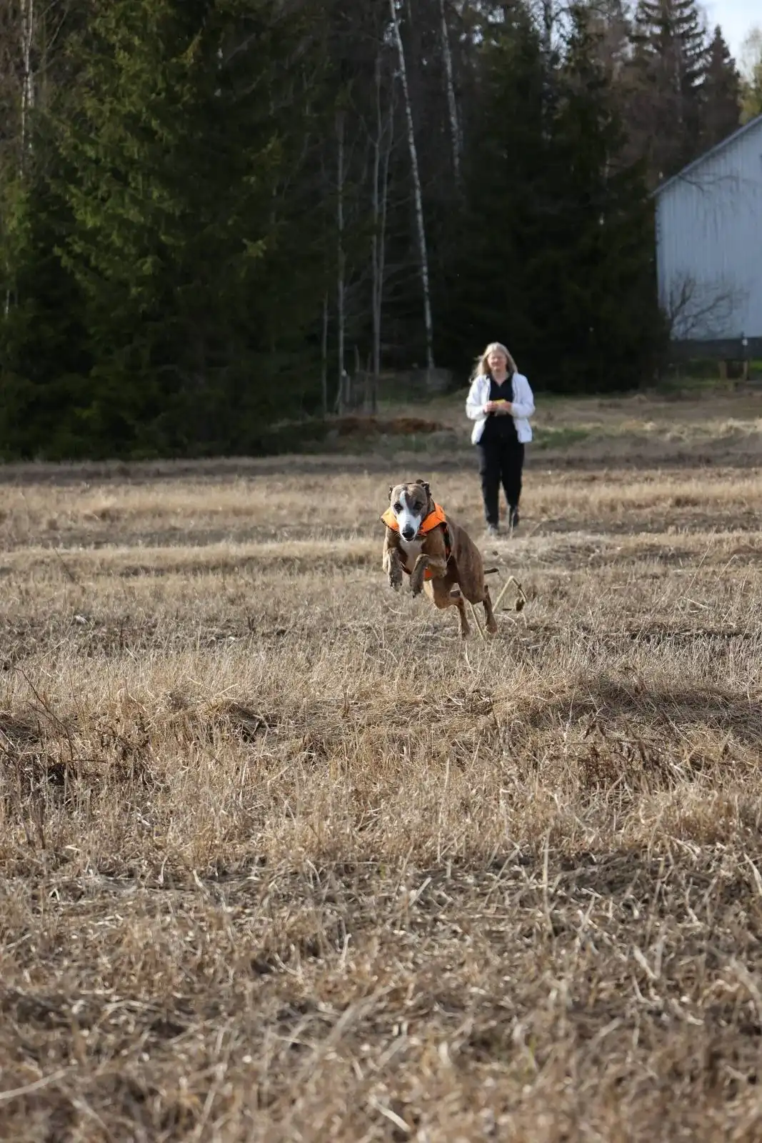 image-7