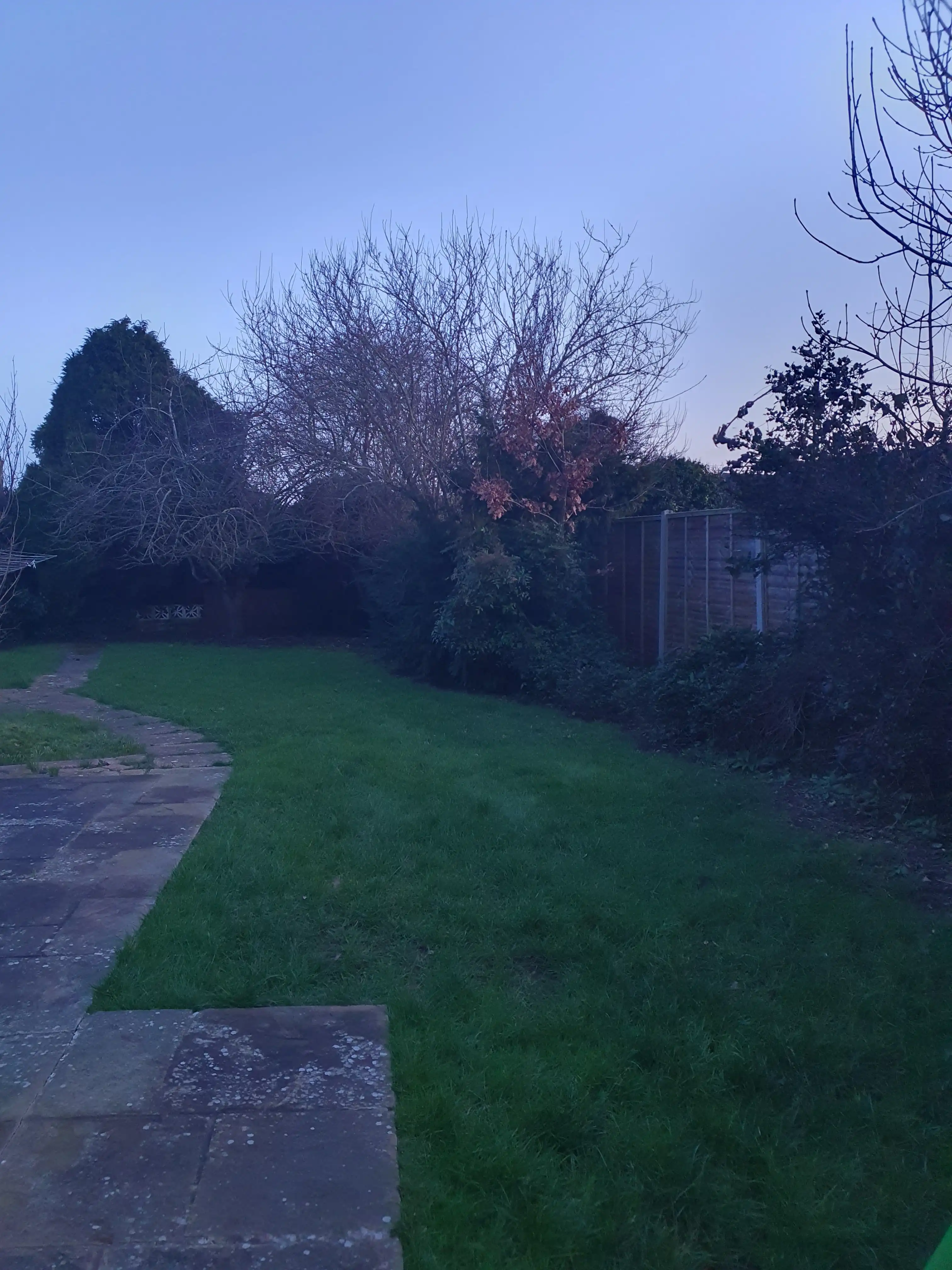 image-13