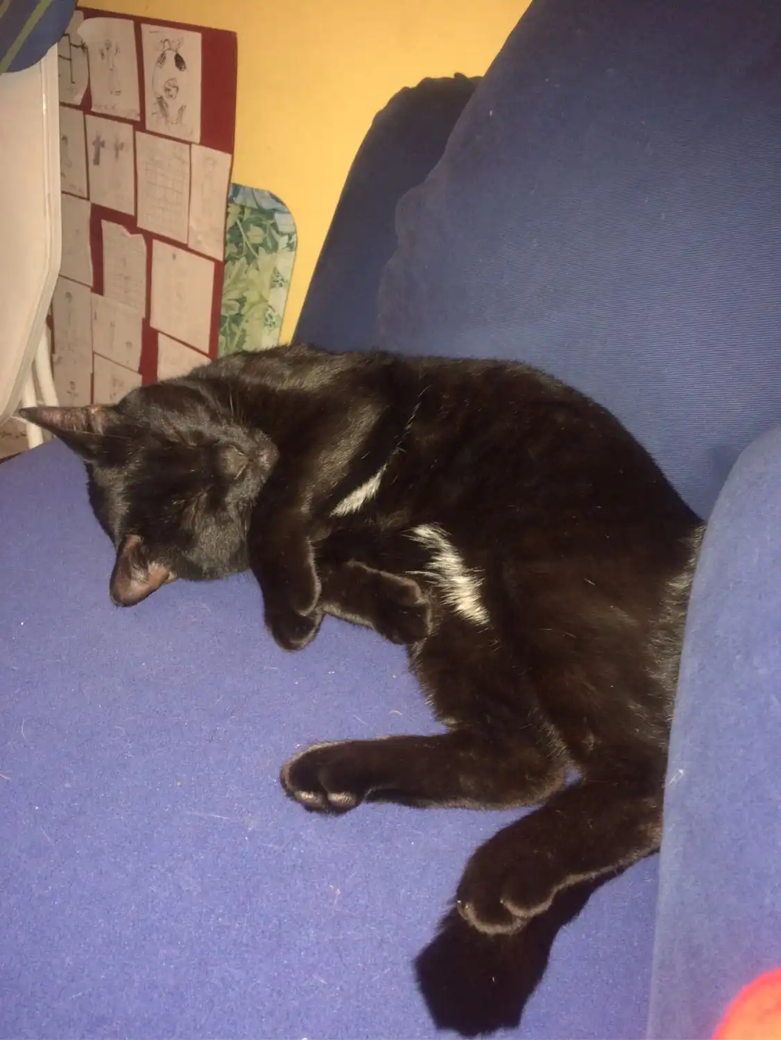 image-5