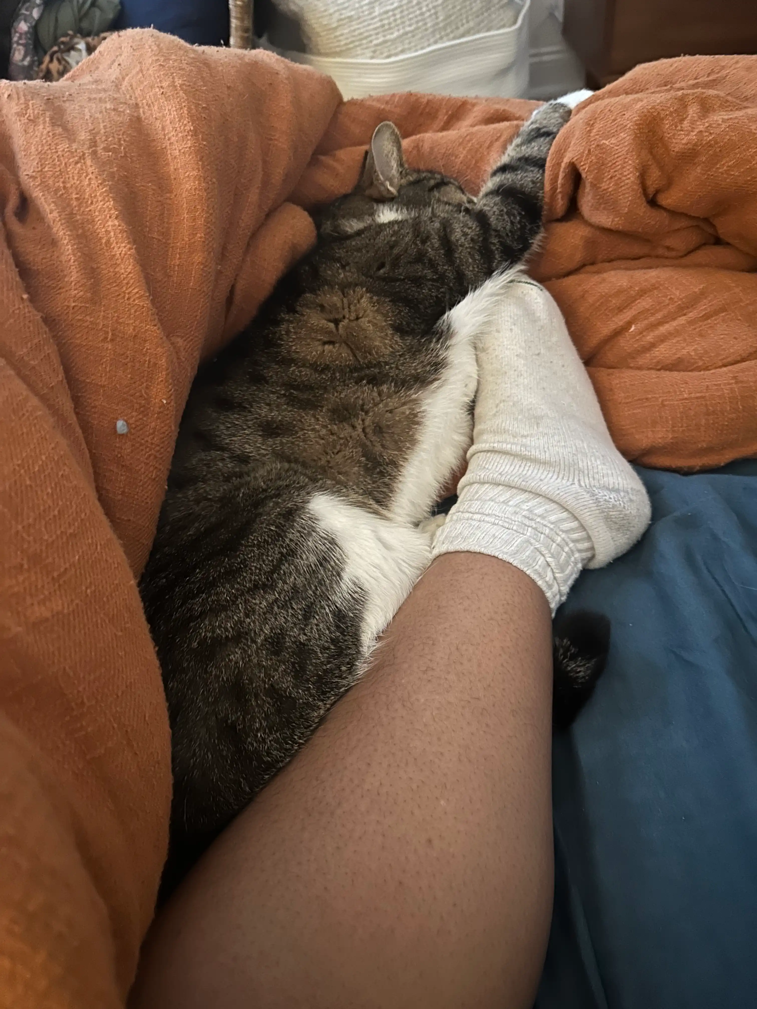 image-6
