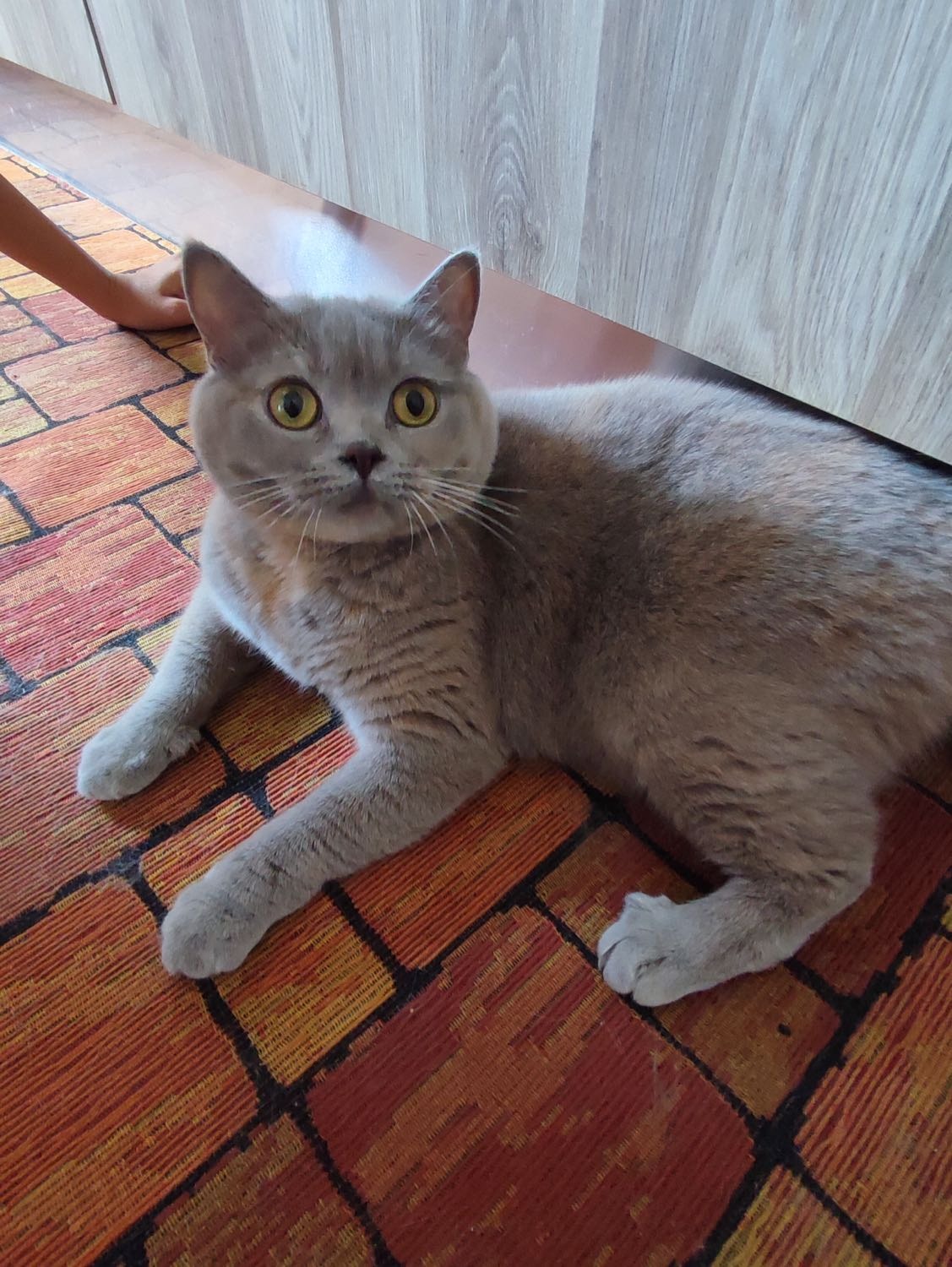 image-10
