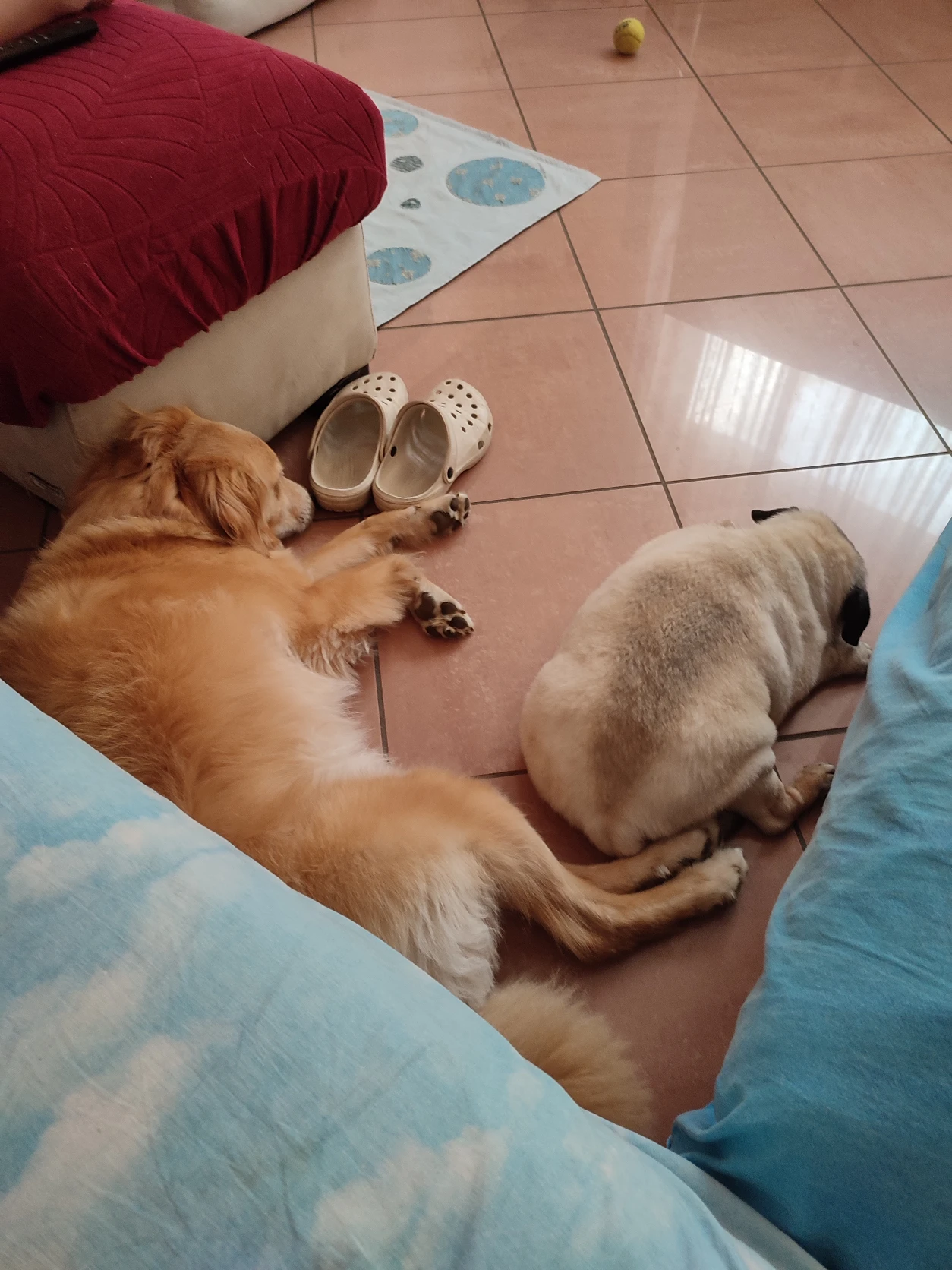 image-27