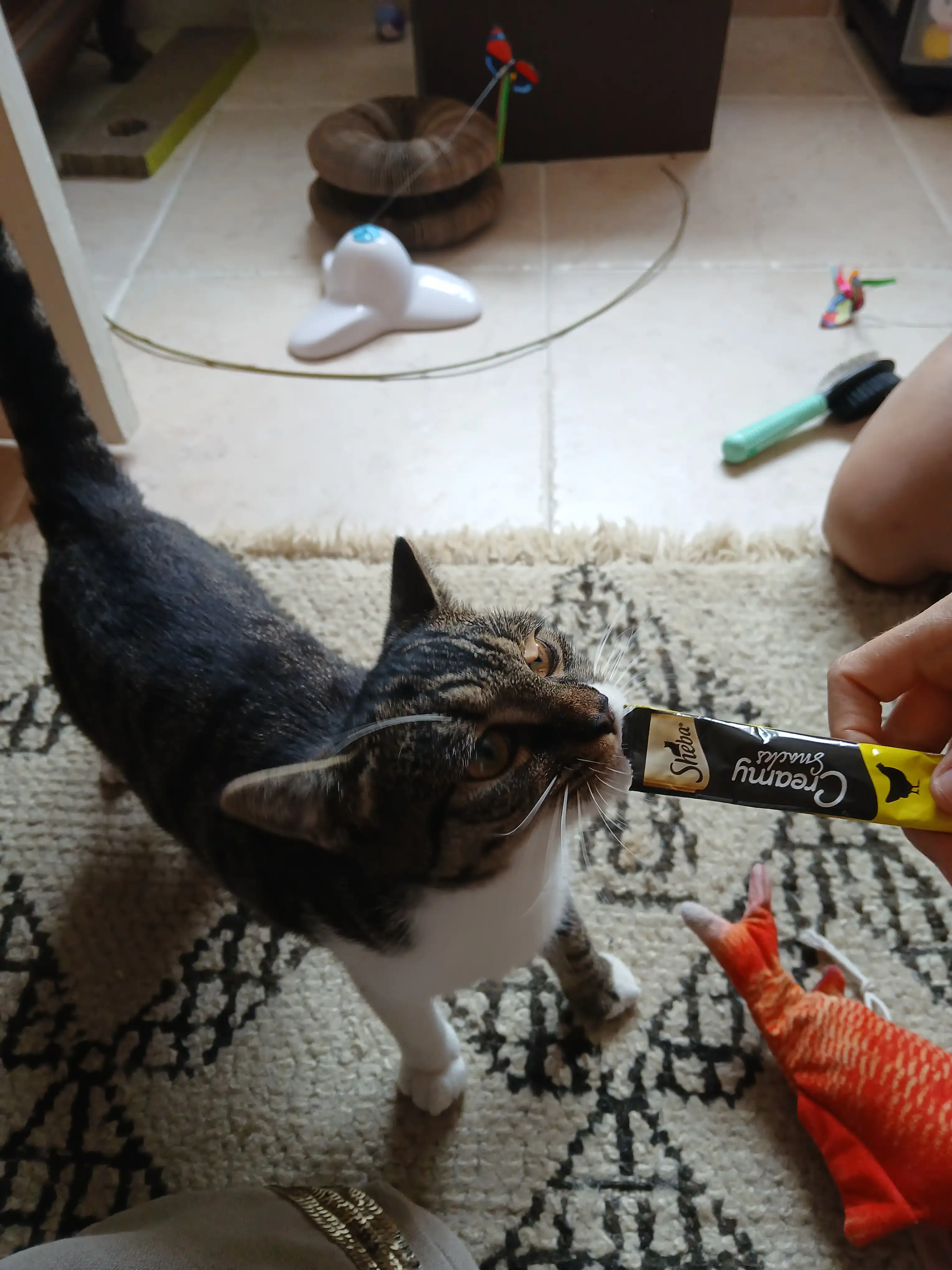 image-8