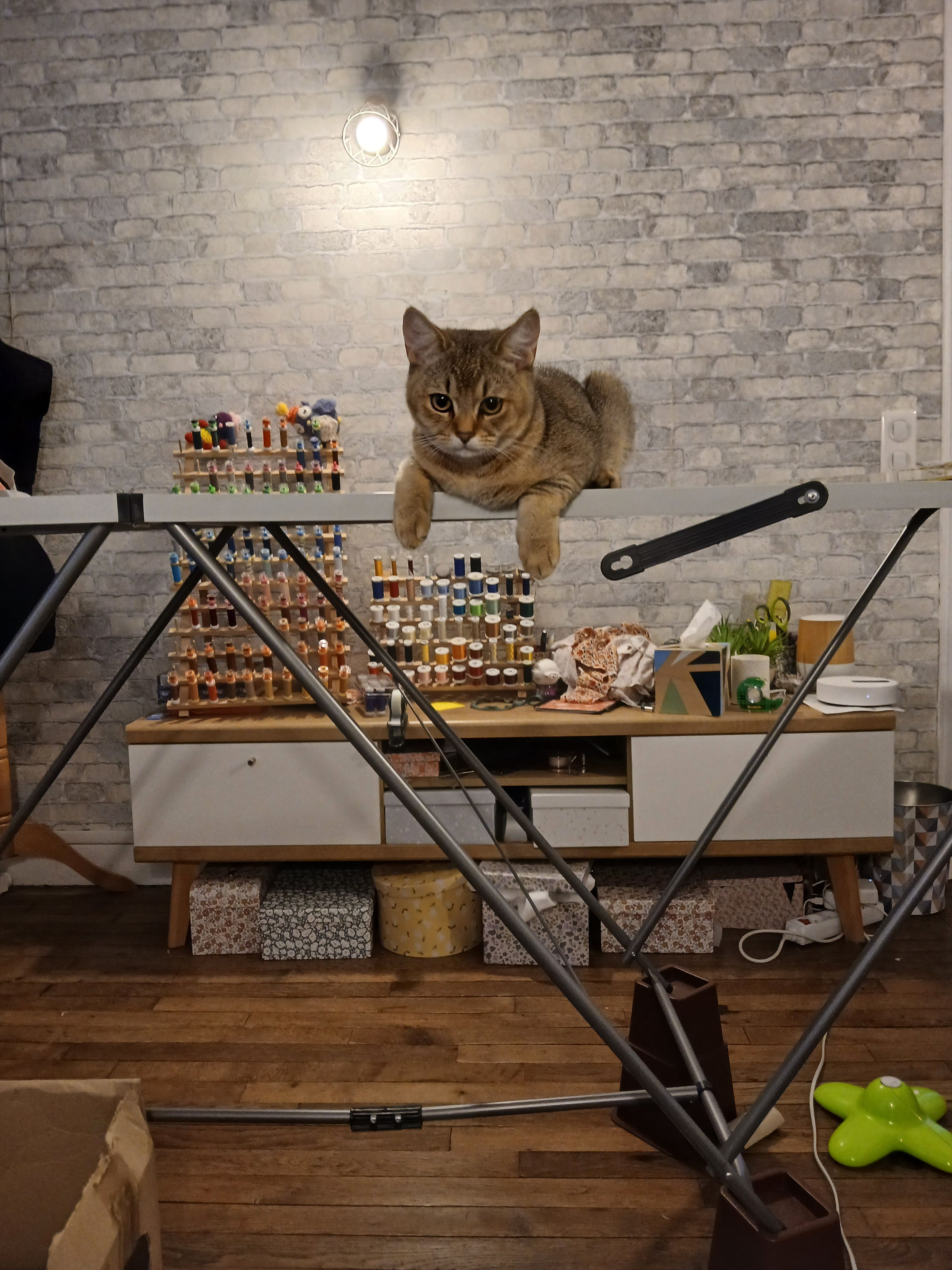image-4