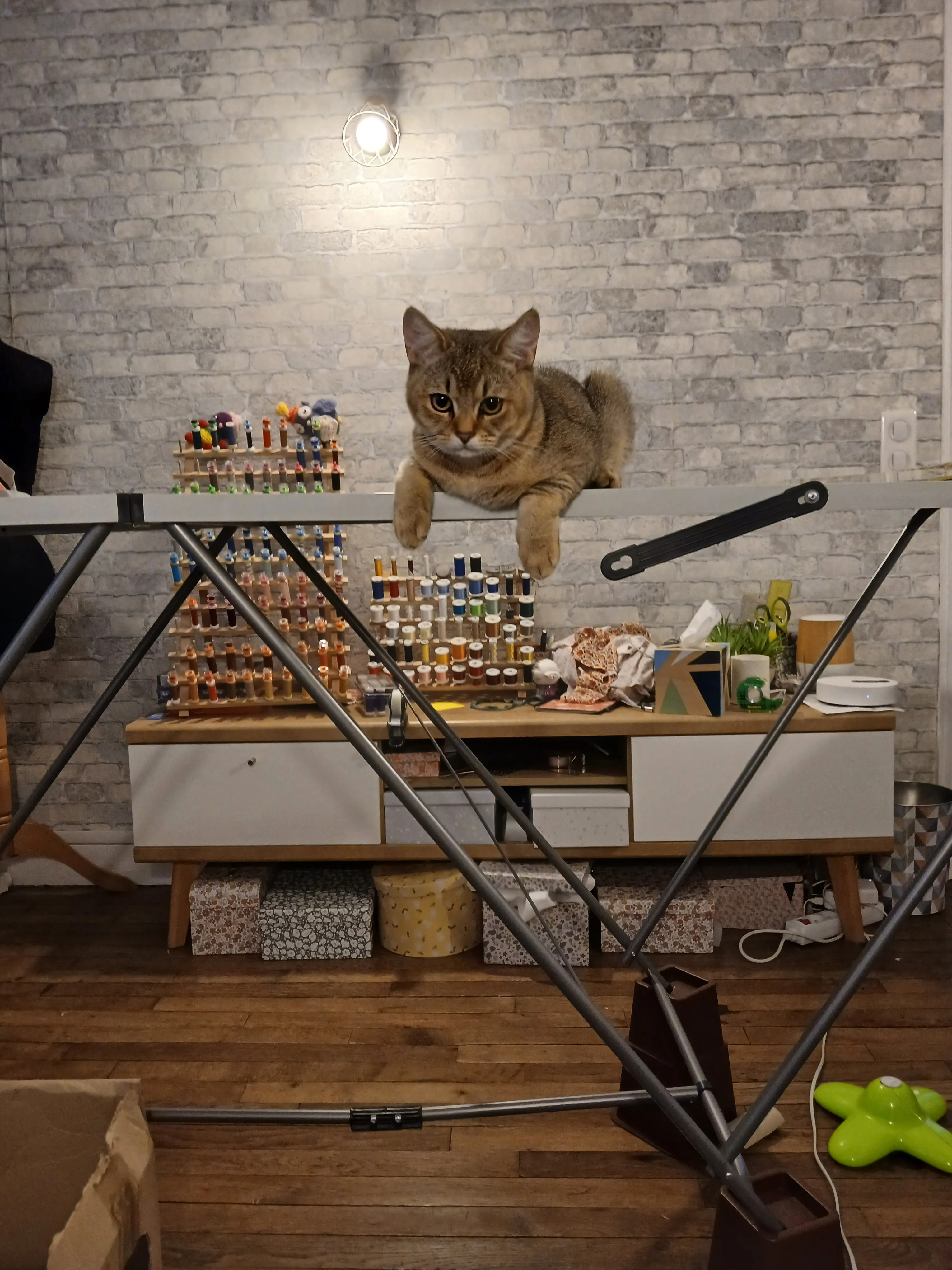 image-4
