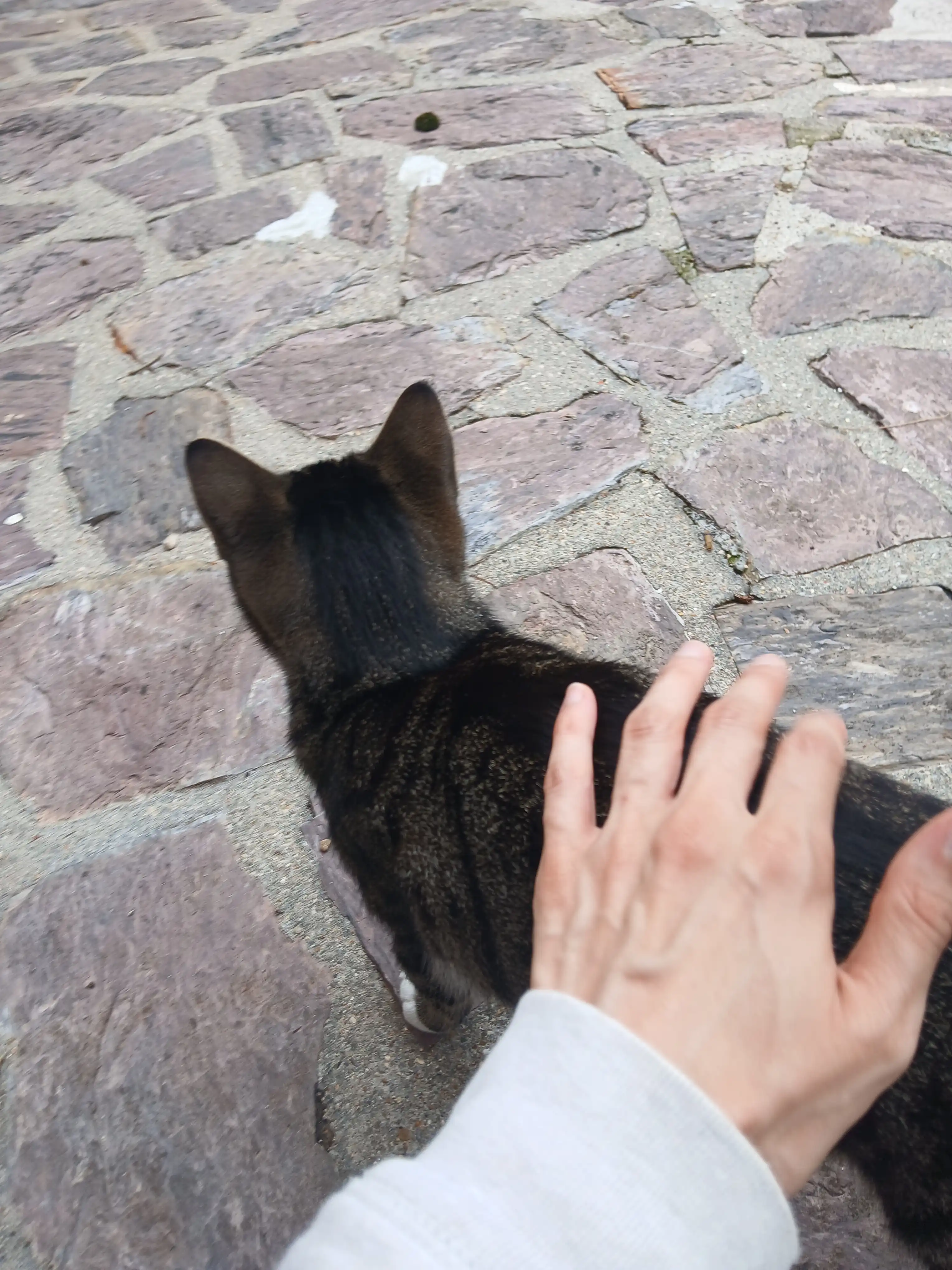 image-7