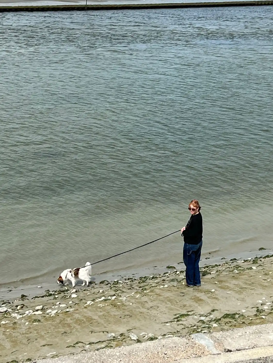 image-5