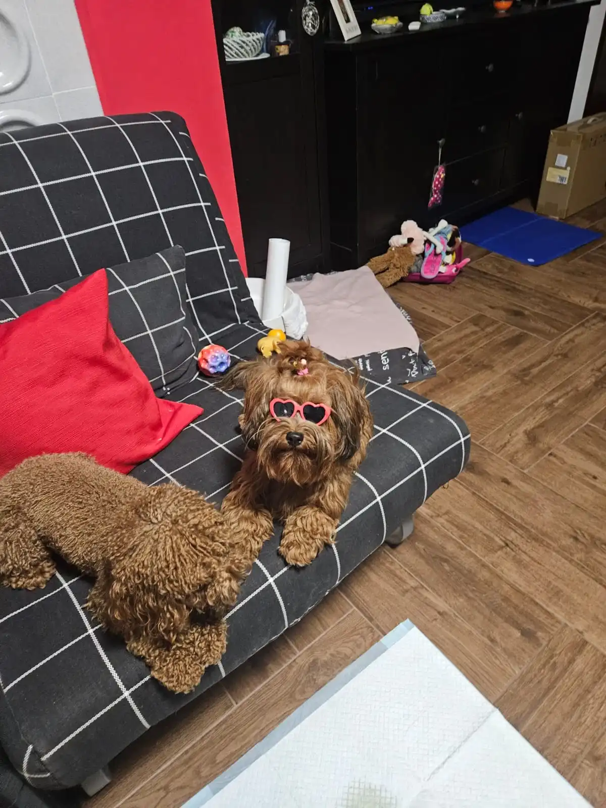 image-7