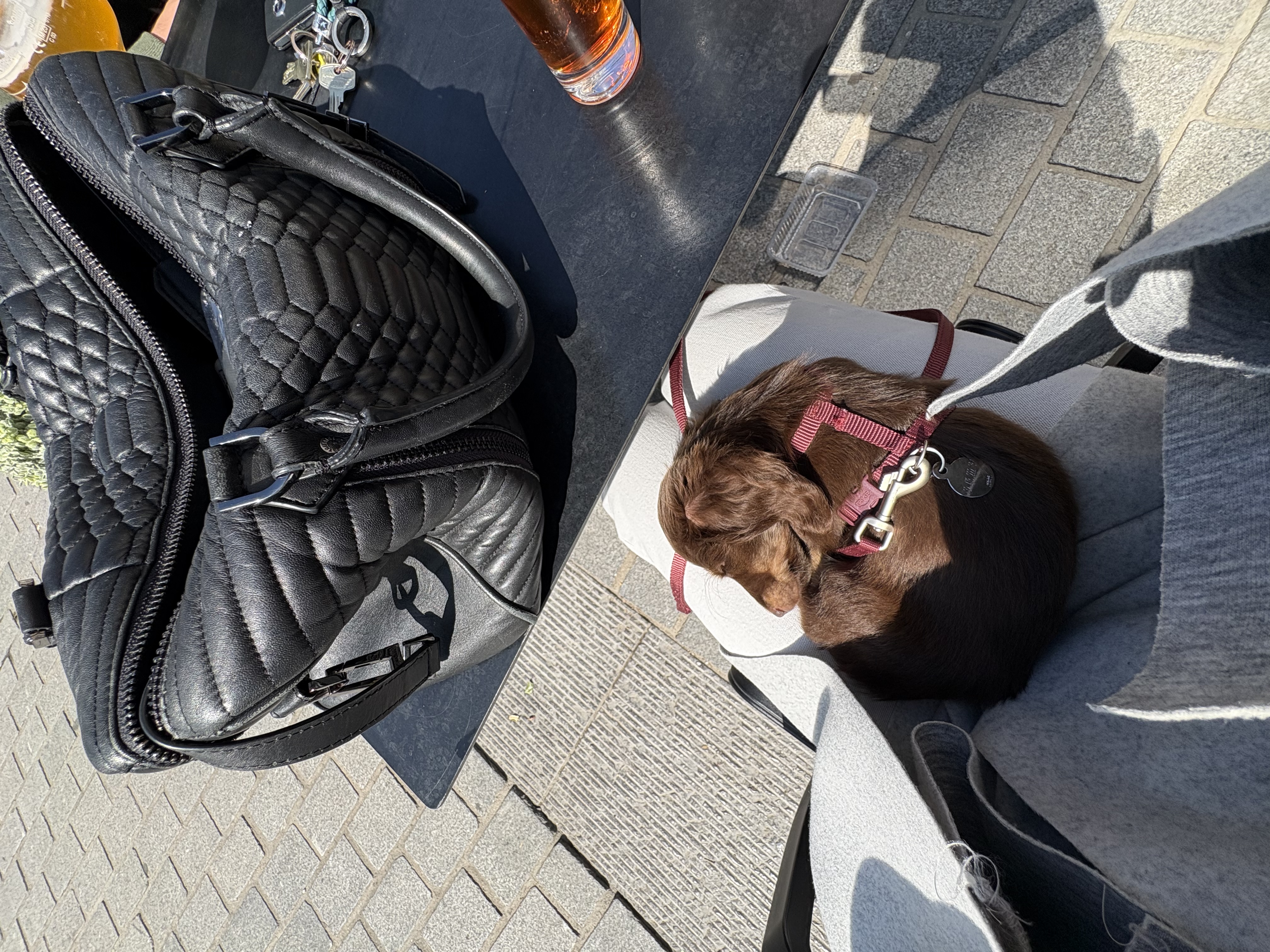 image-9