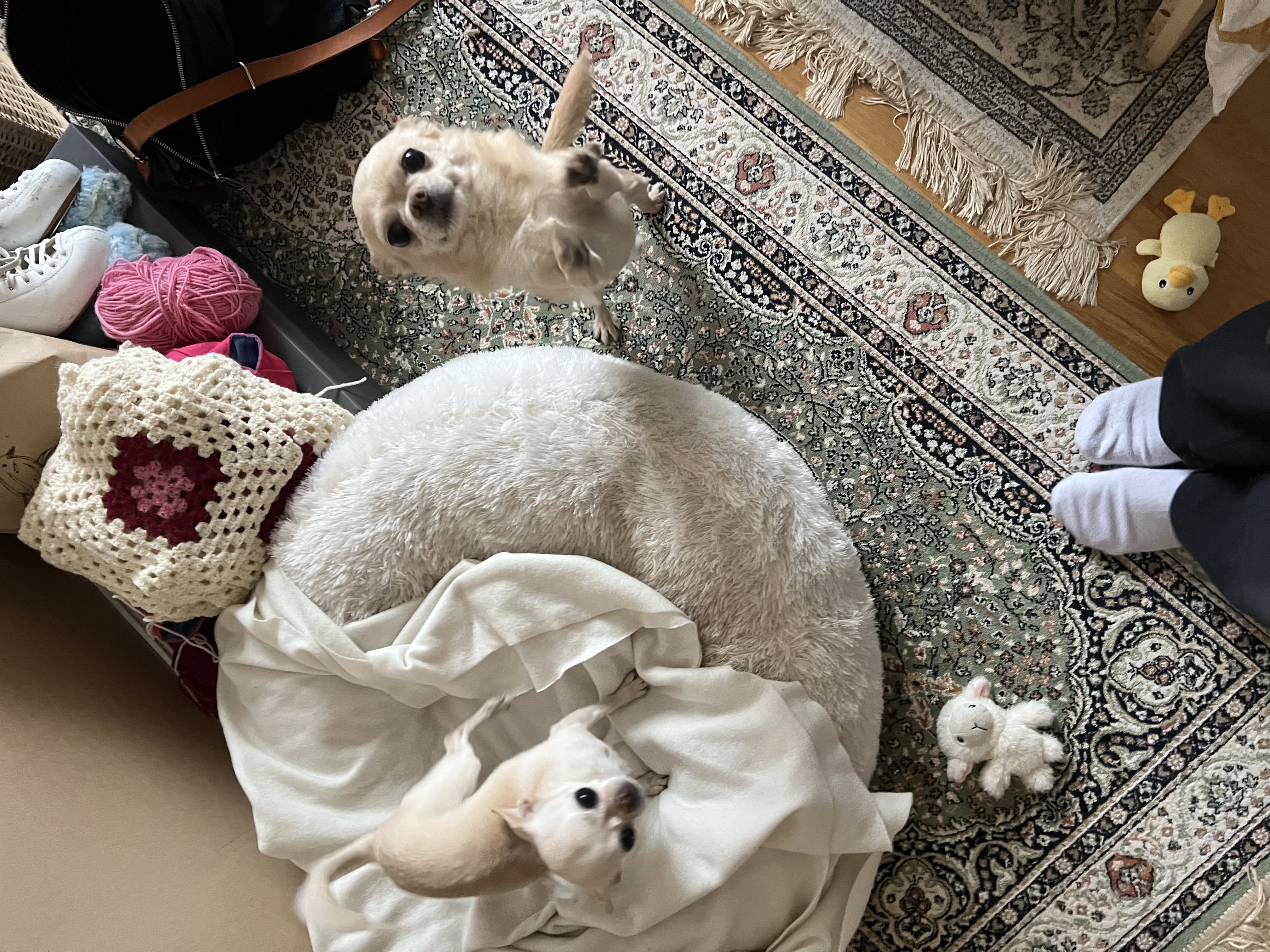 image-10