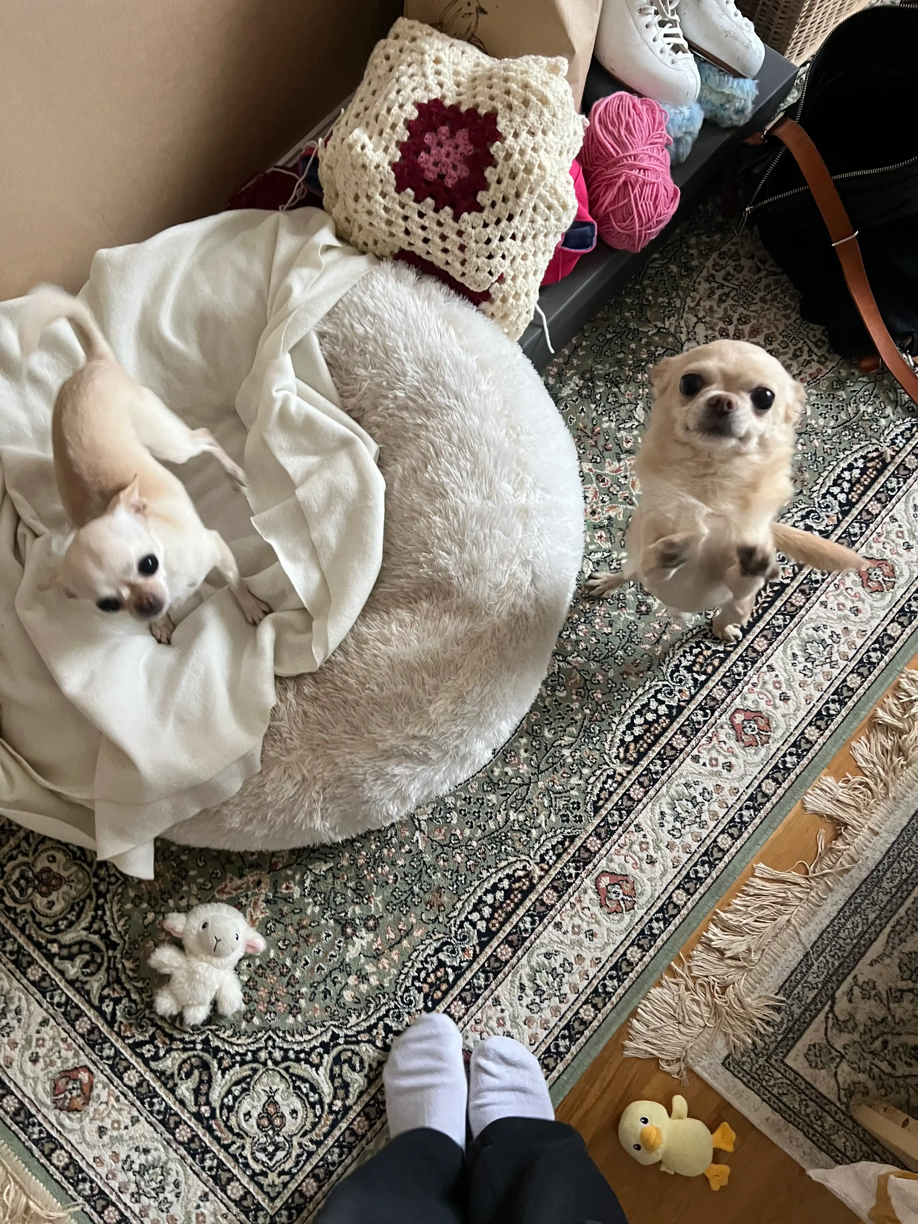 image-10