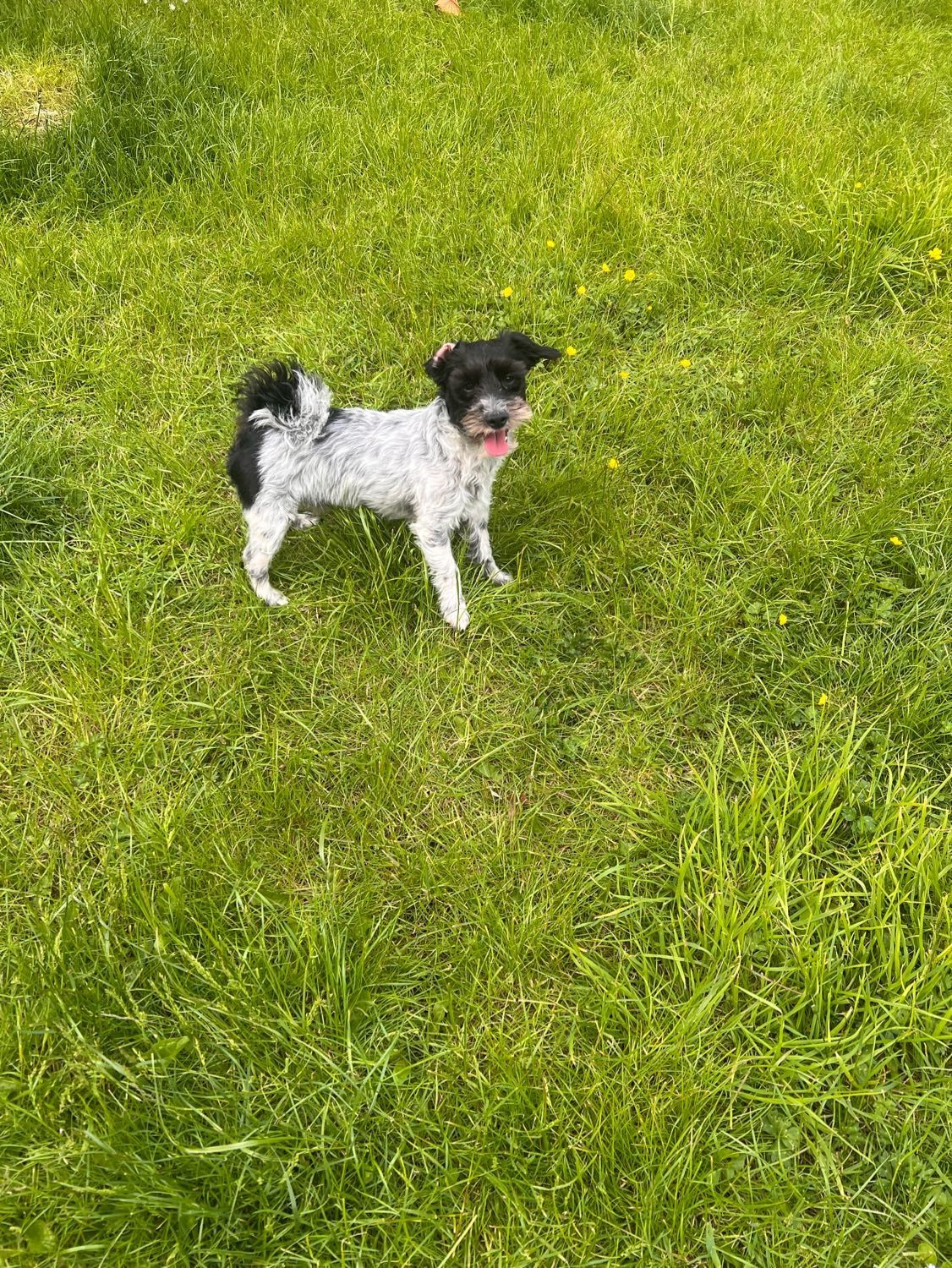 image-5