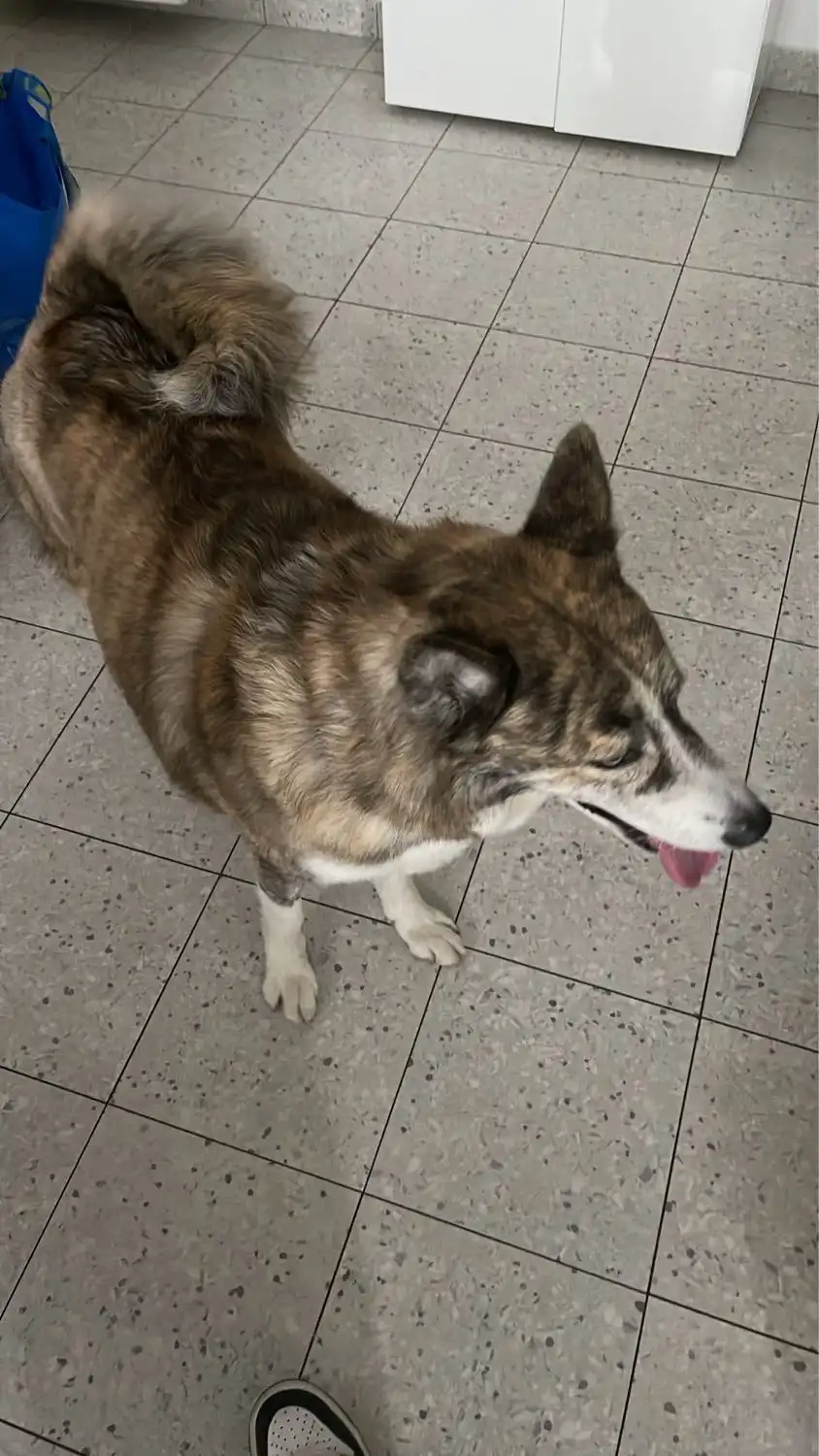 image-6