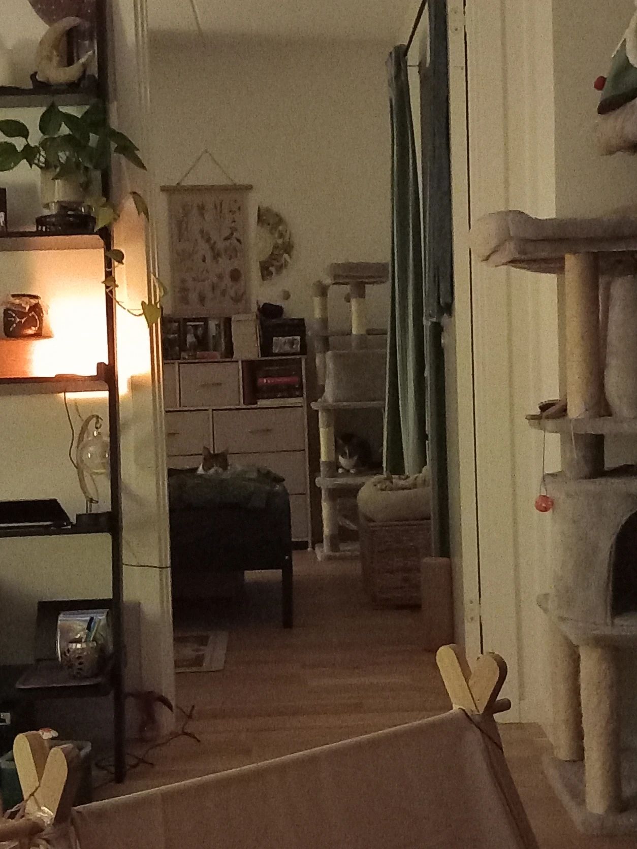 image-13