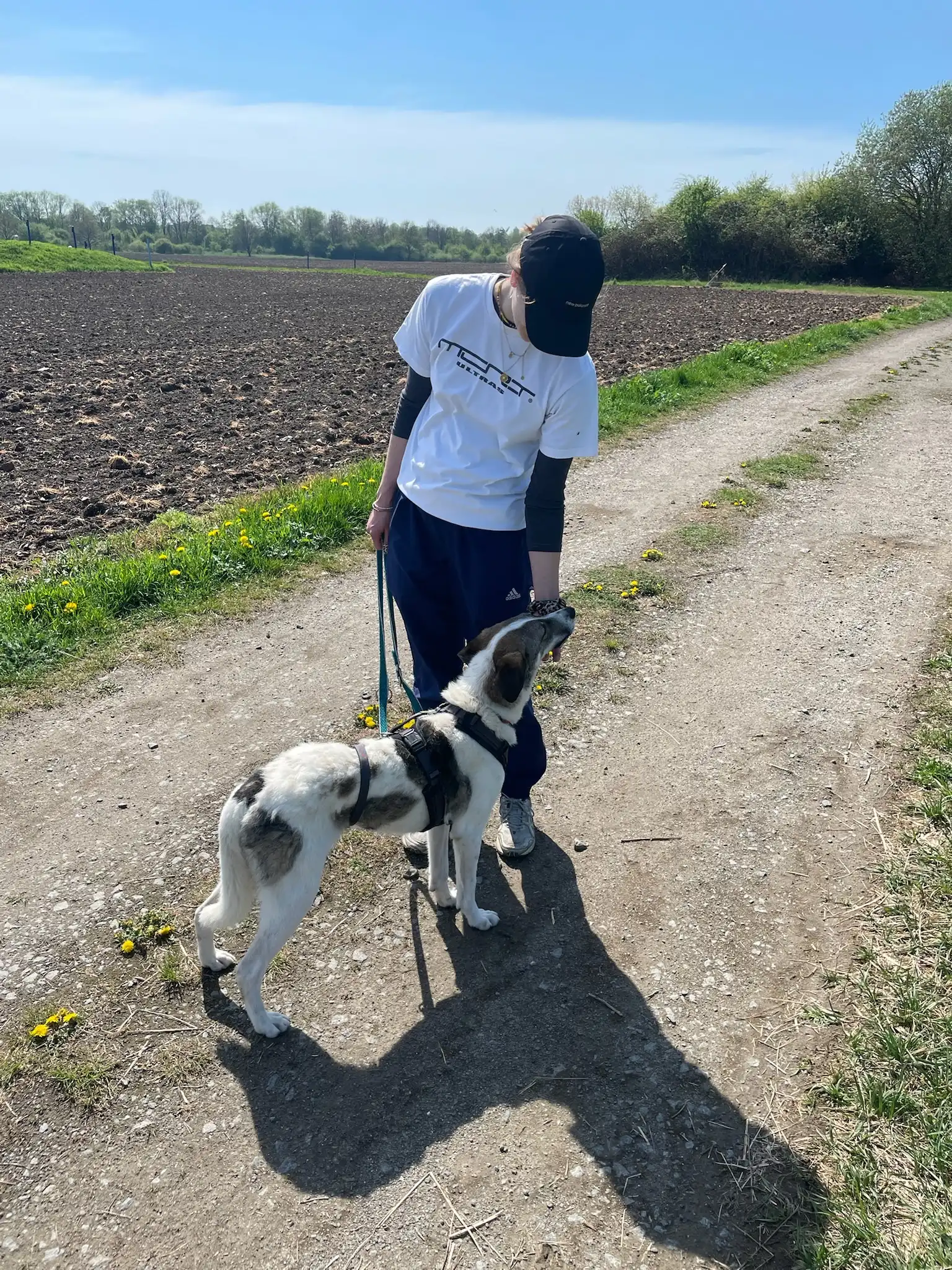 image-5