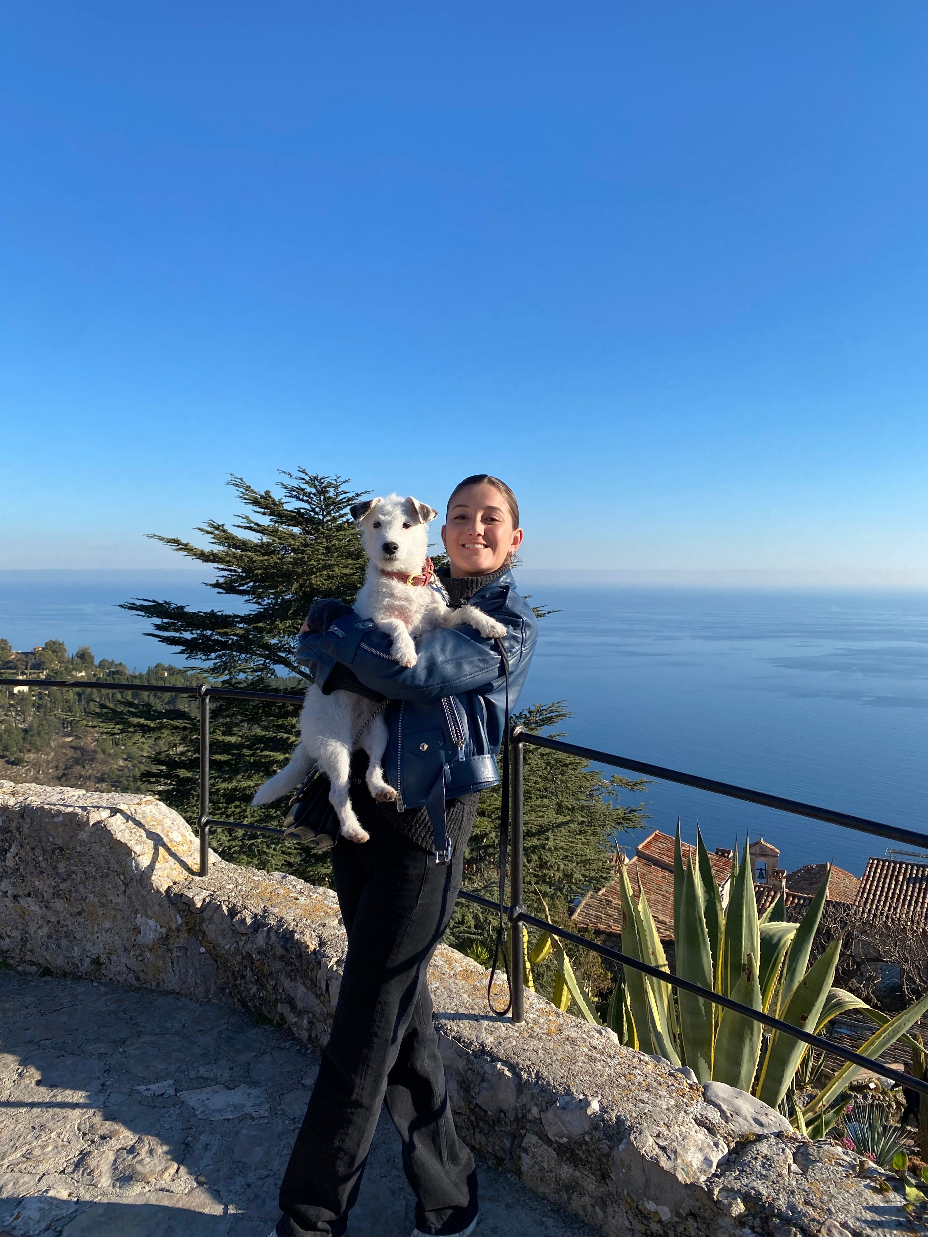 image-10