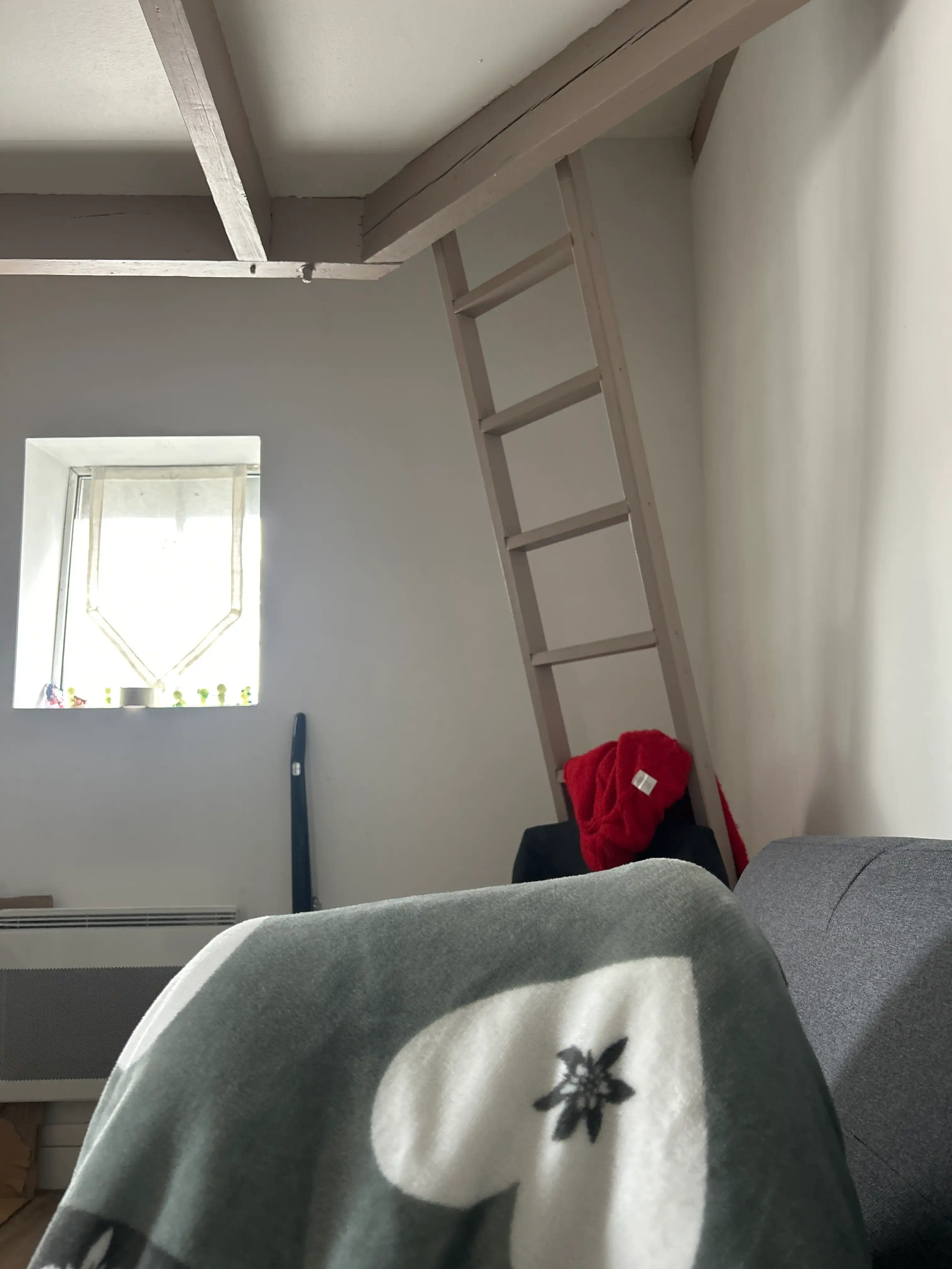 image-19