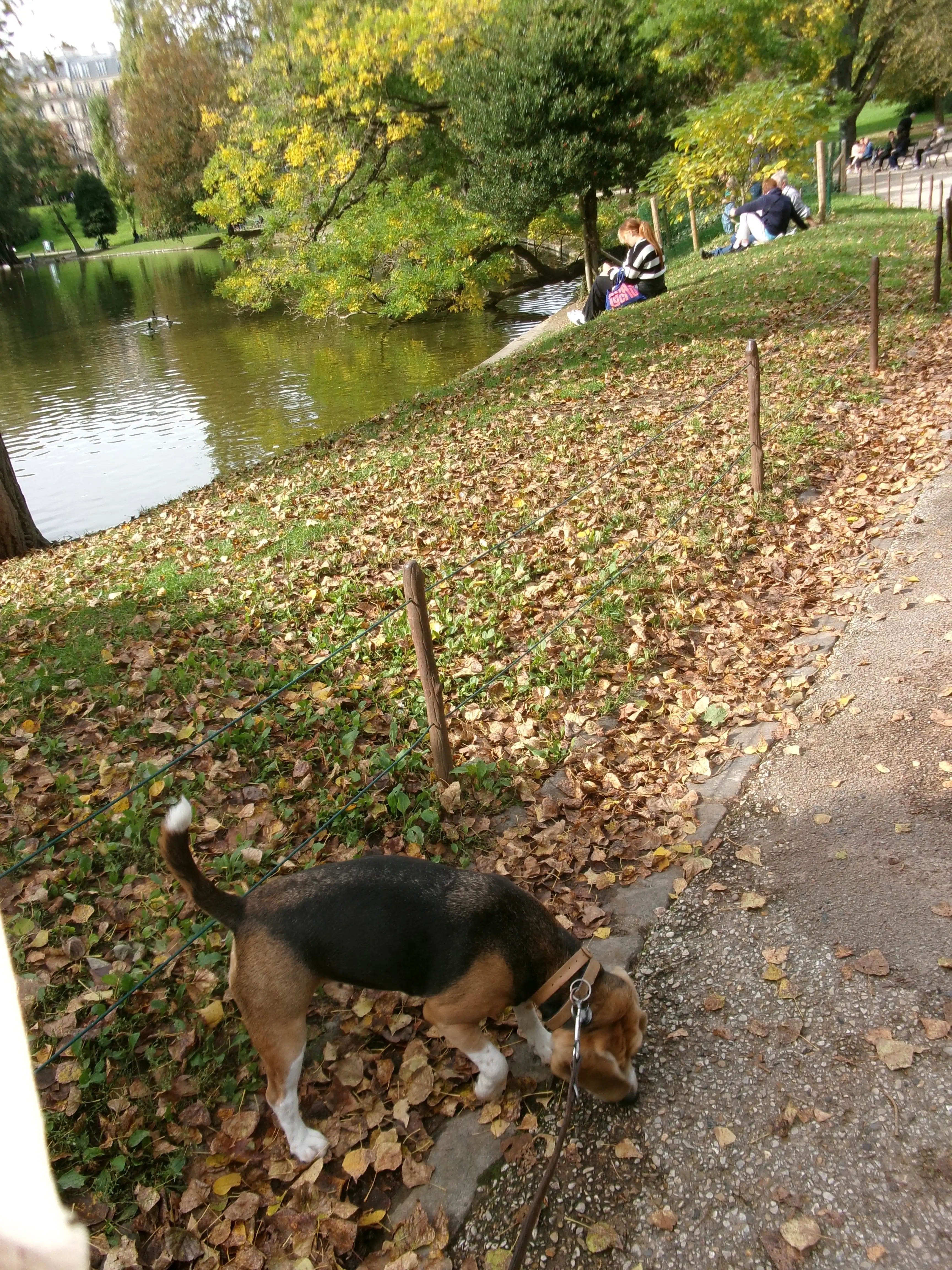 image-21