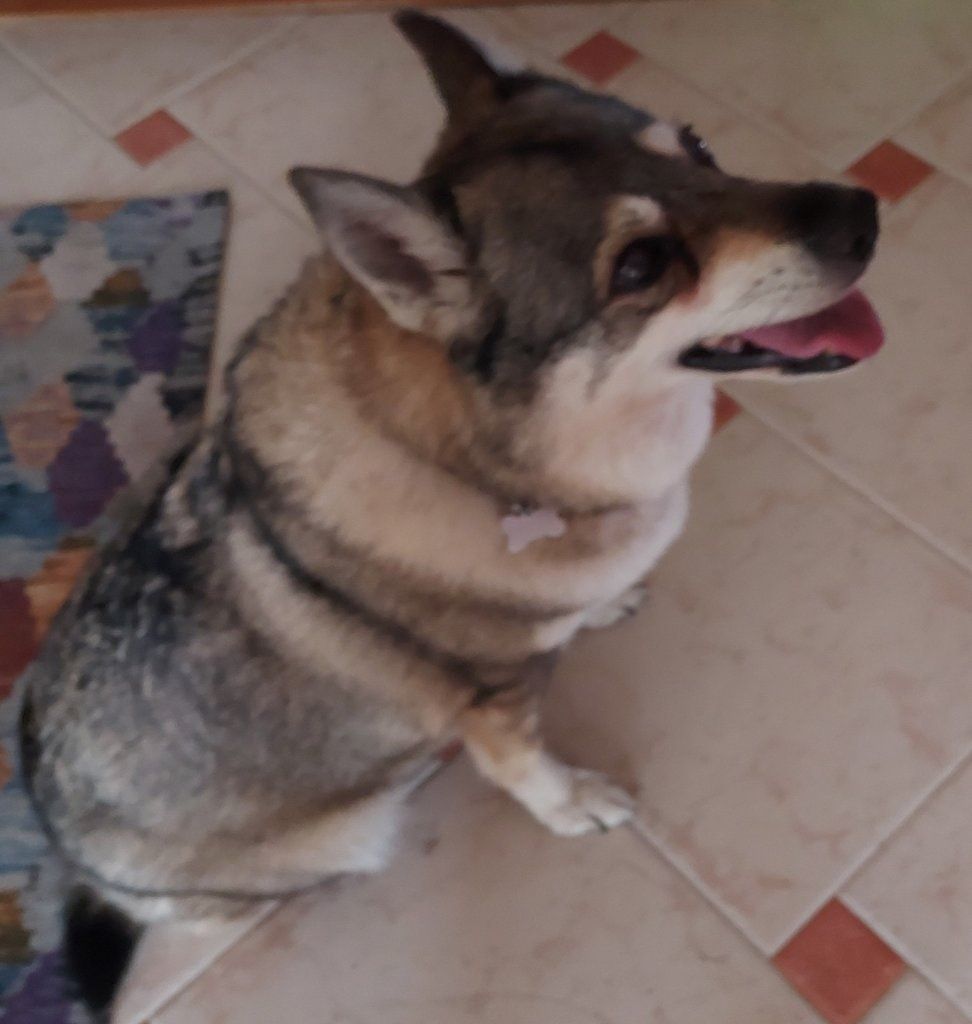 image-11