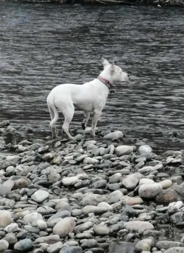 image-5