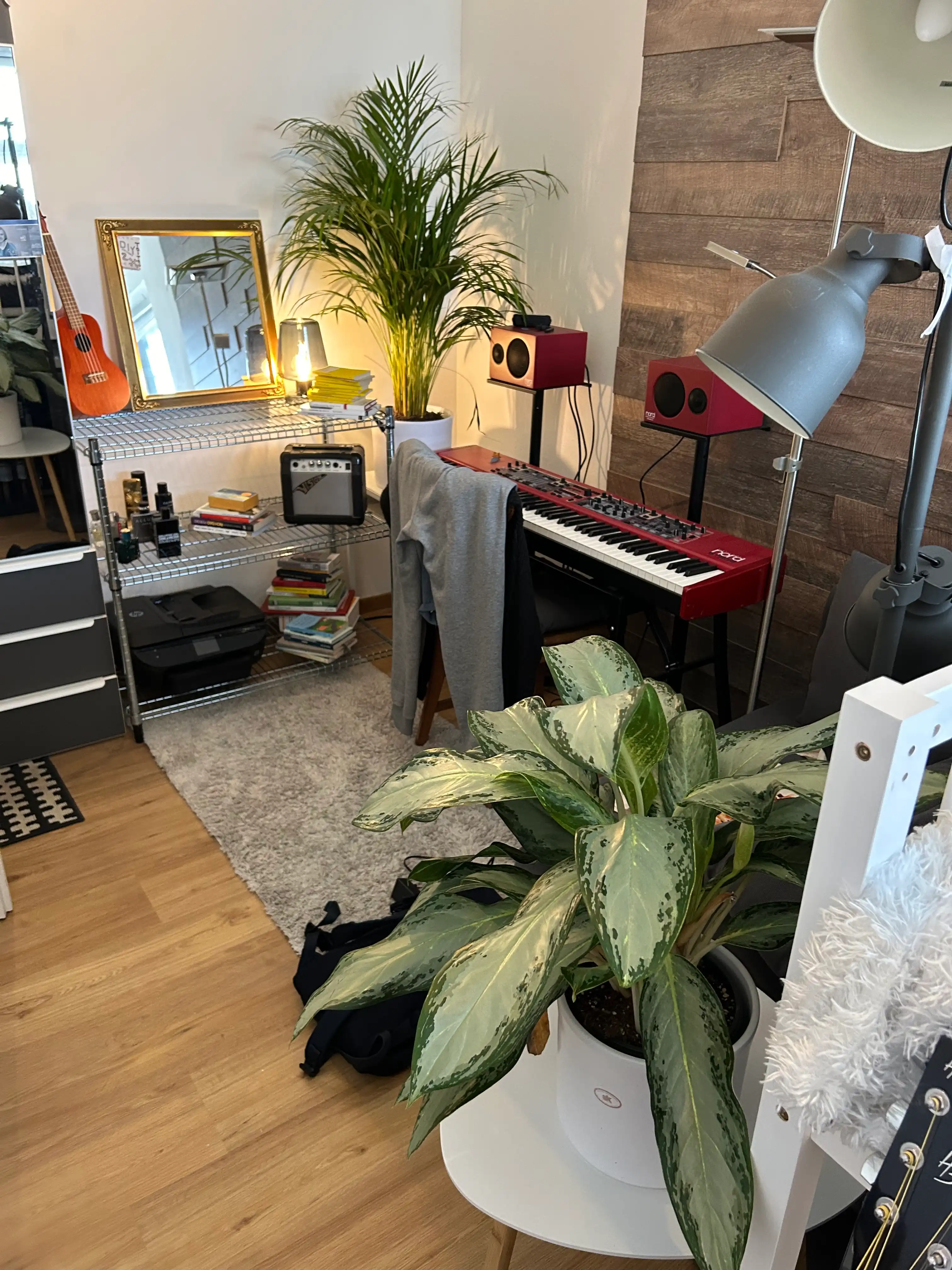 image-15