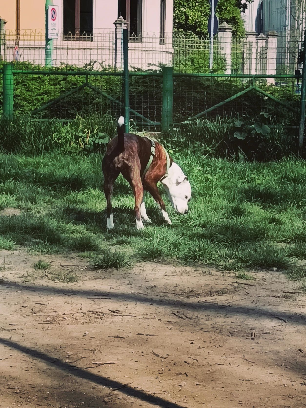 image-13