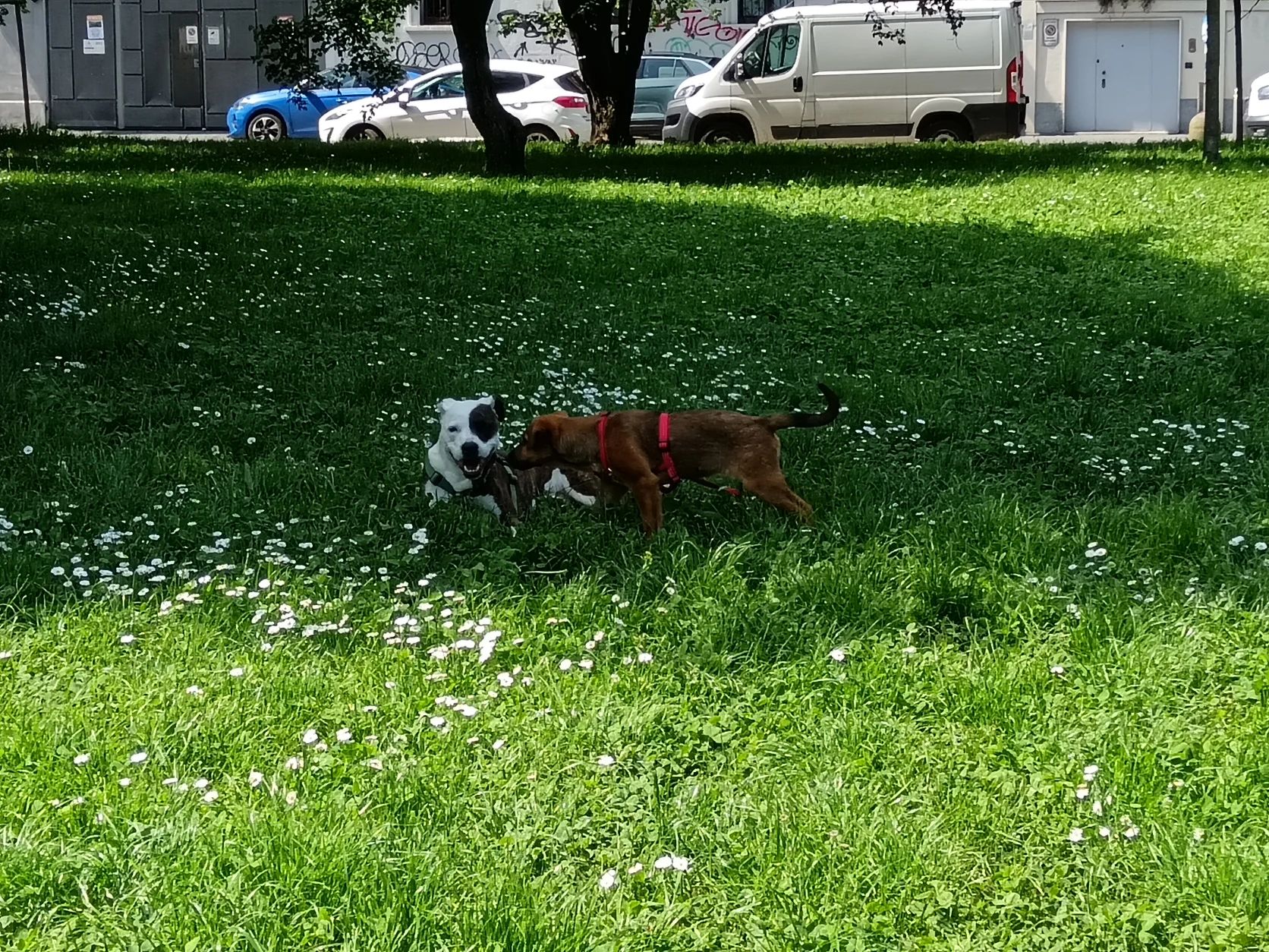 image-5