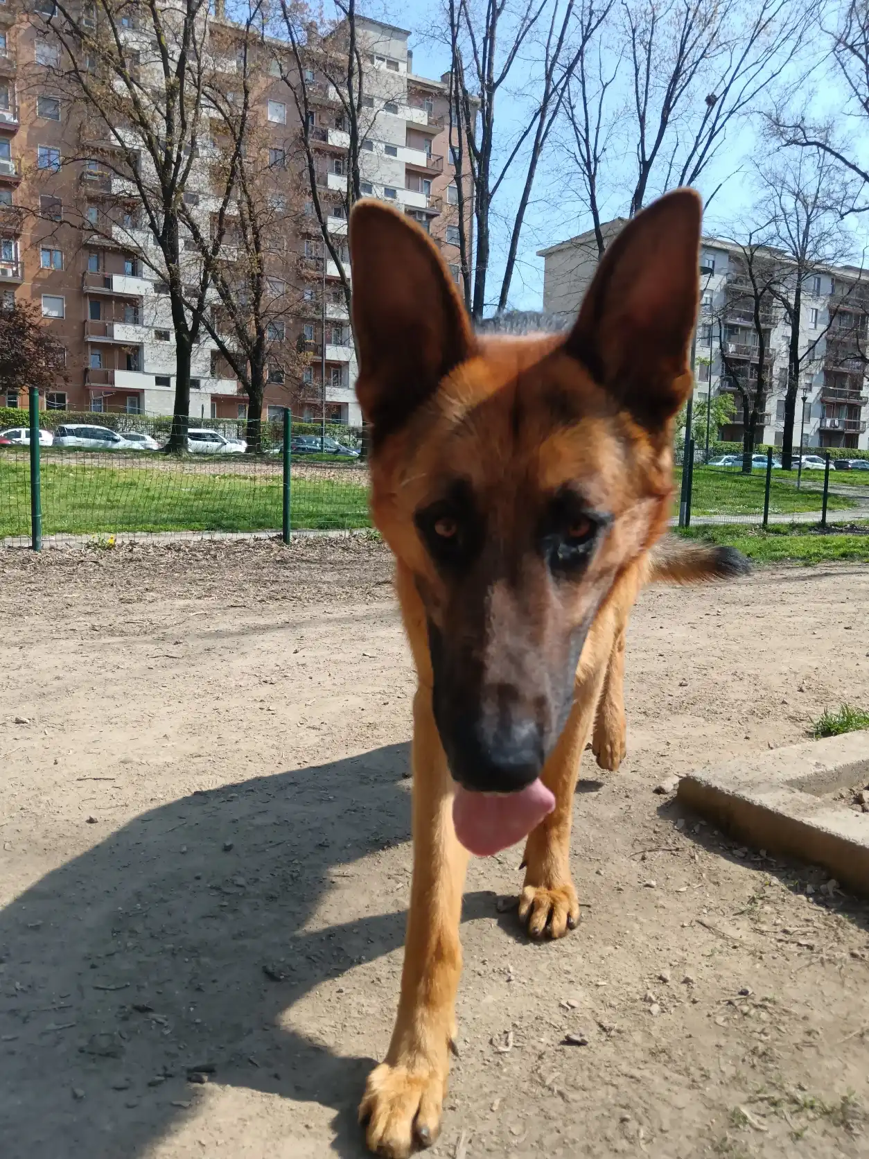 image-14