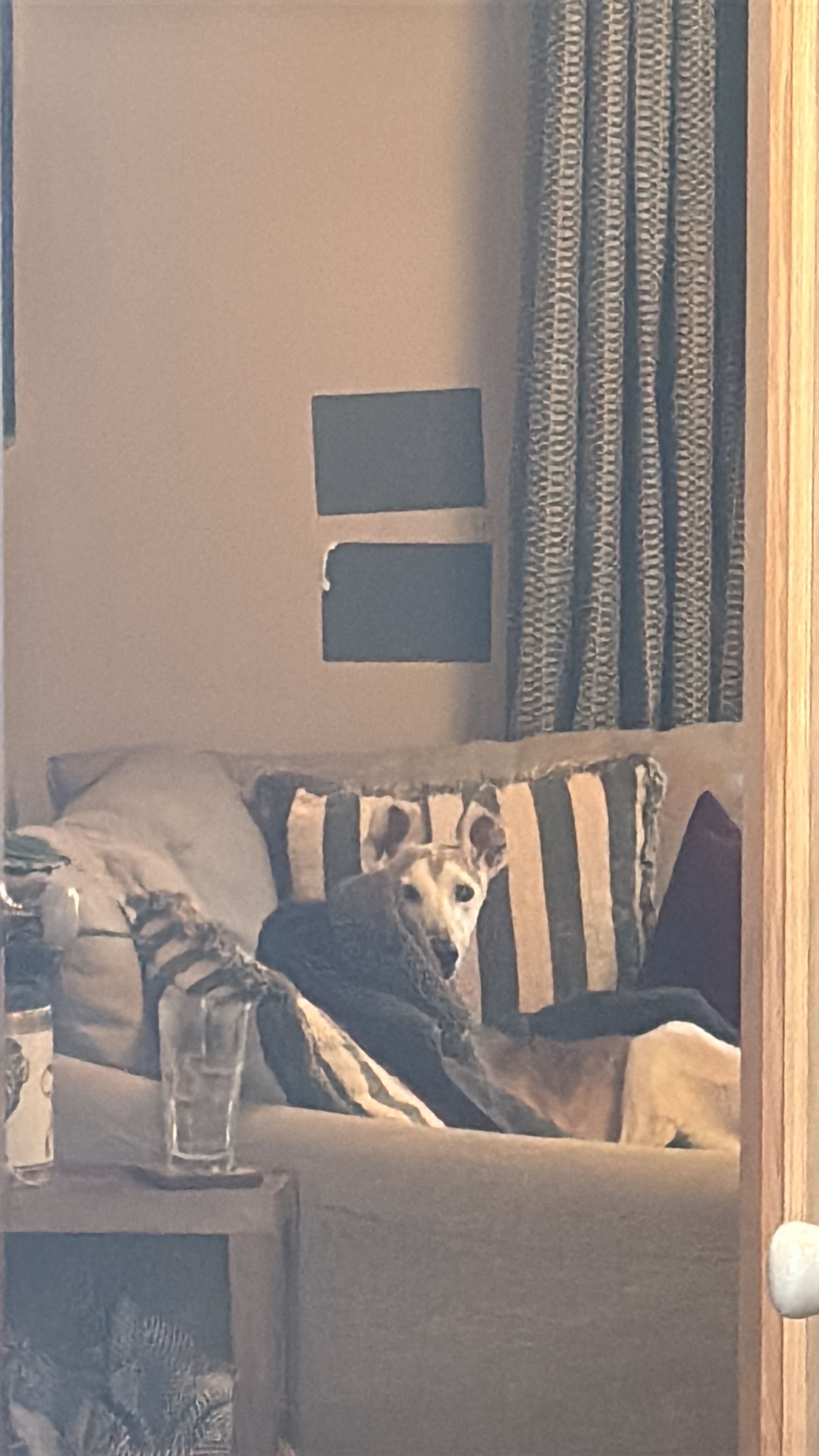 image-18