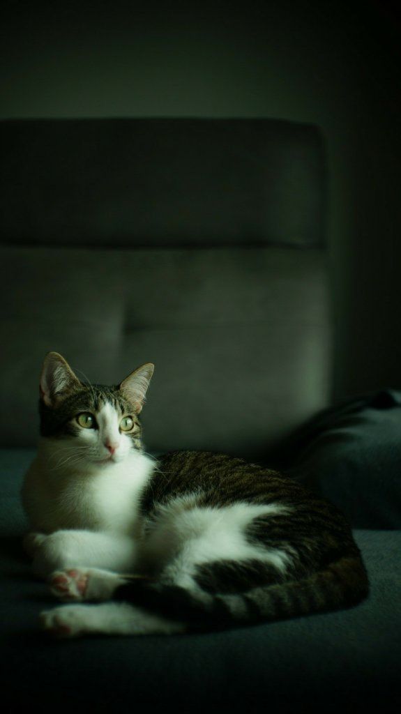 image-14