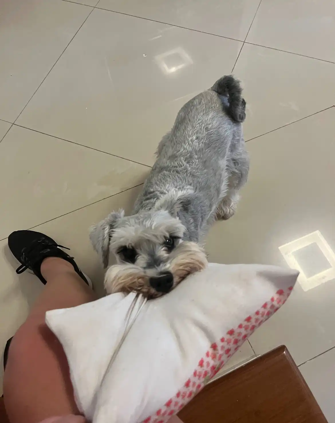 image-18