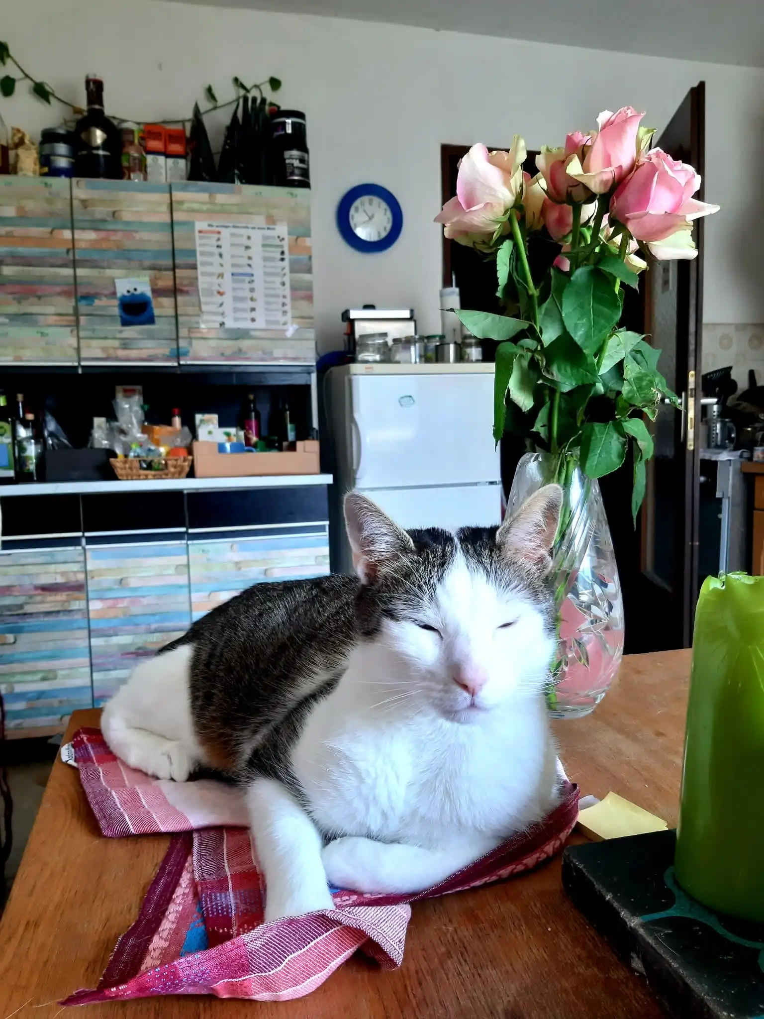 image-10