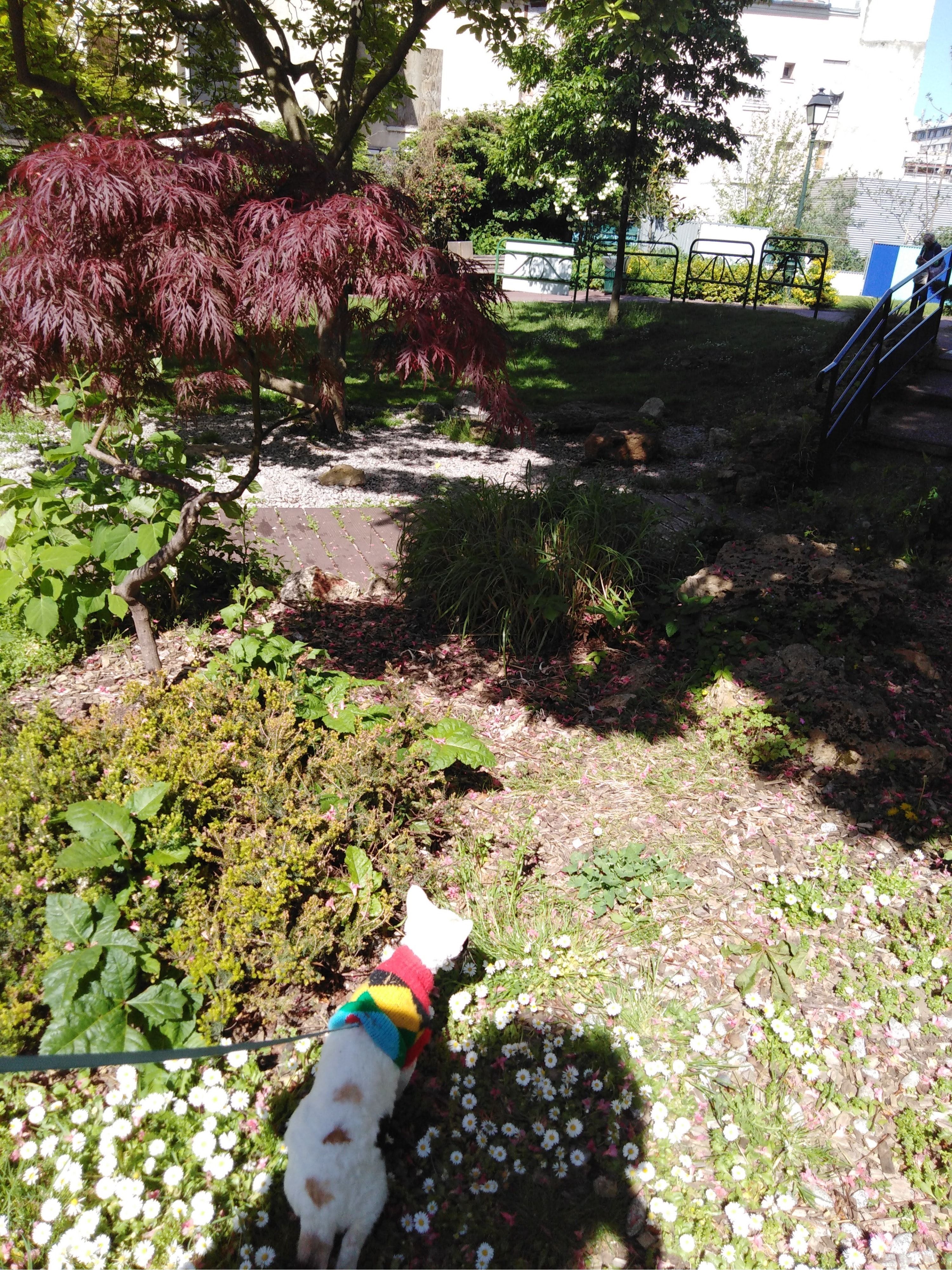 image-3
