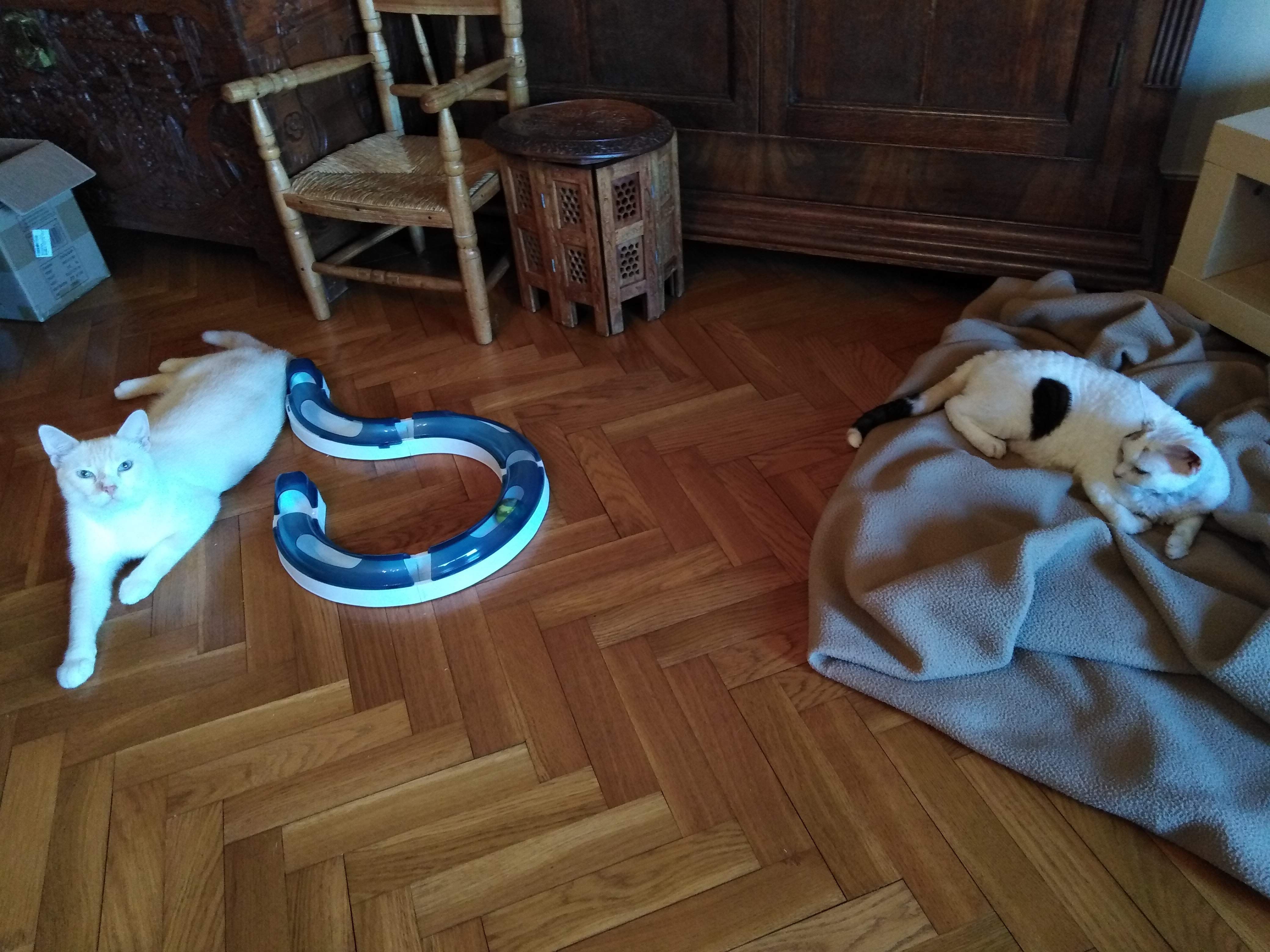 image-10