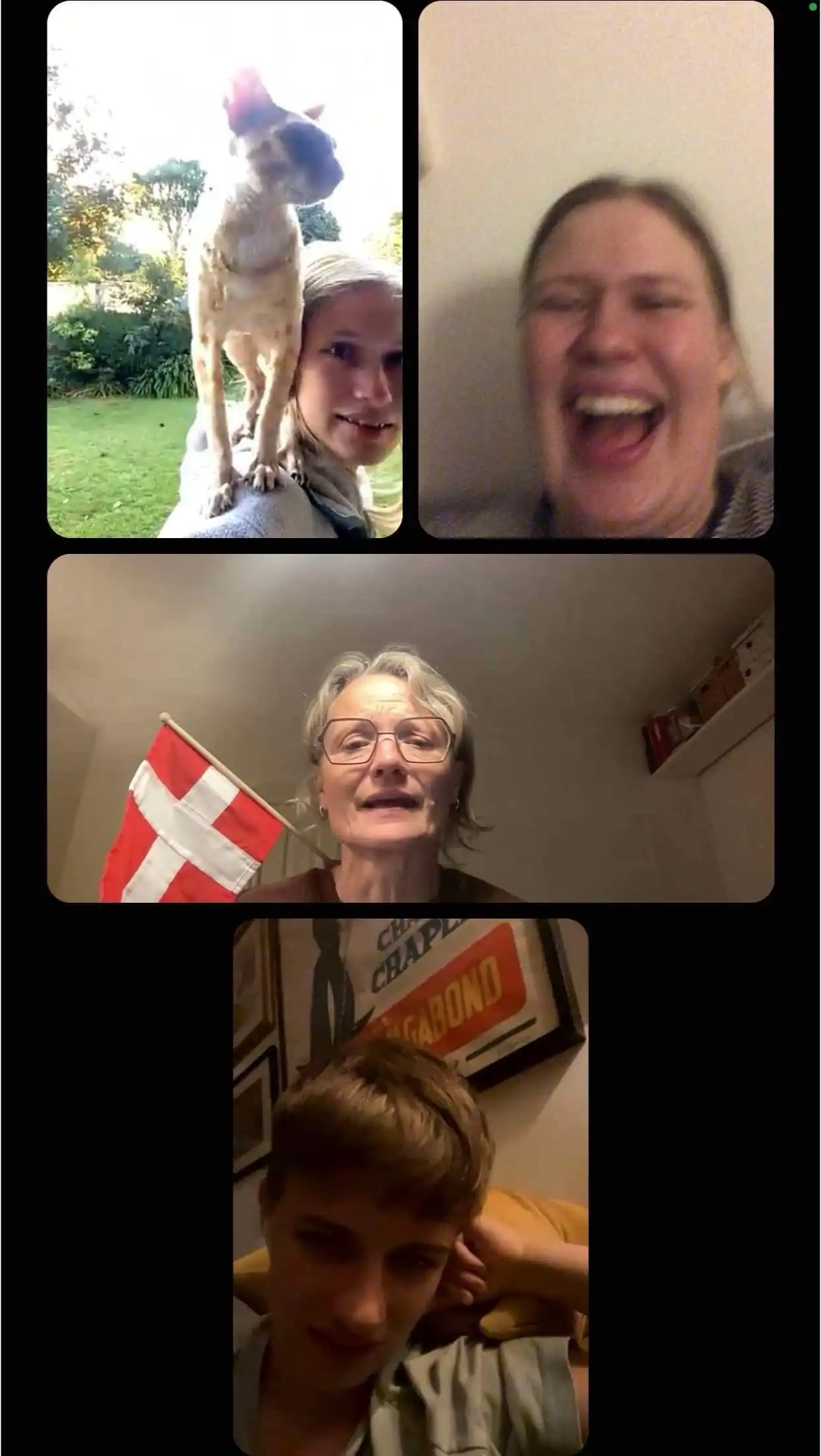 image-12