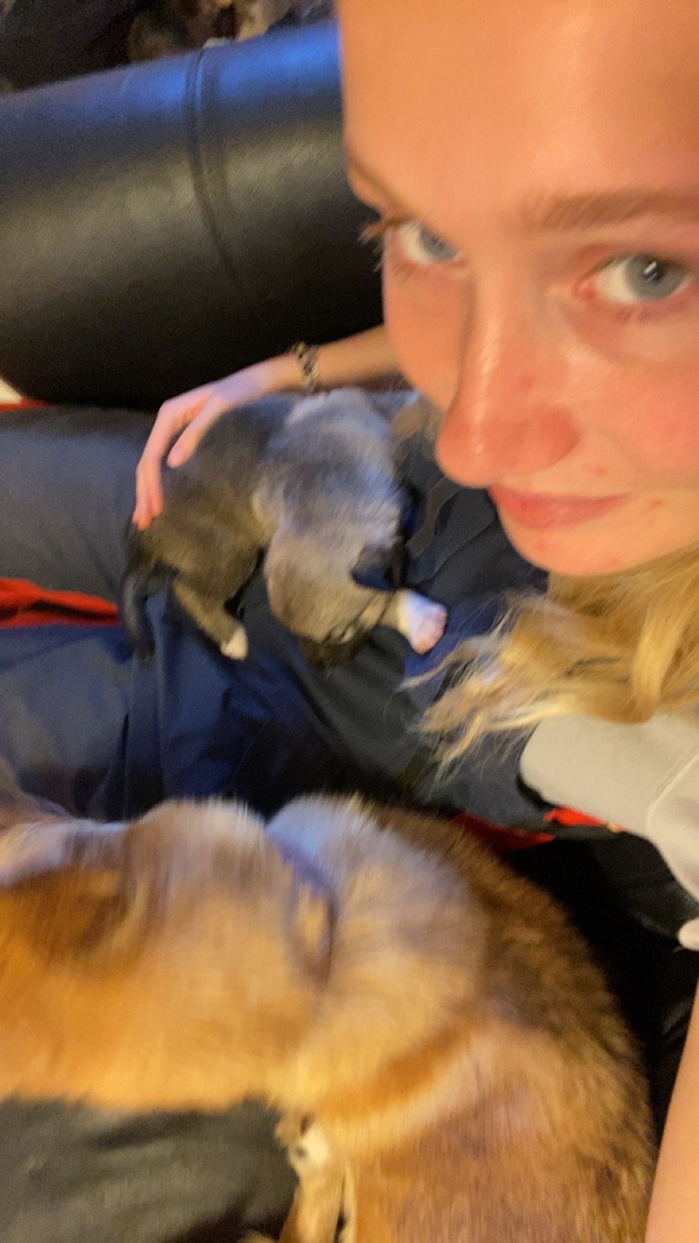 image-8