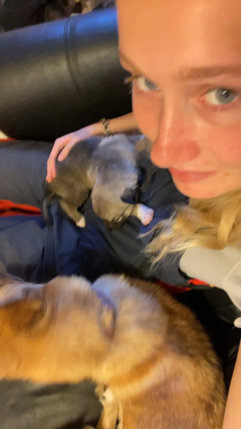 image-8