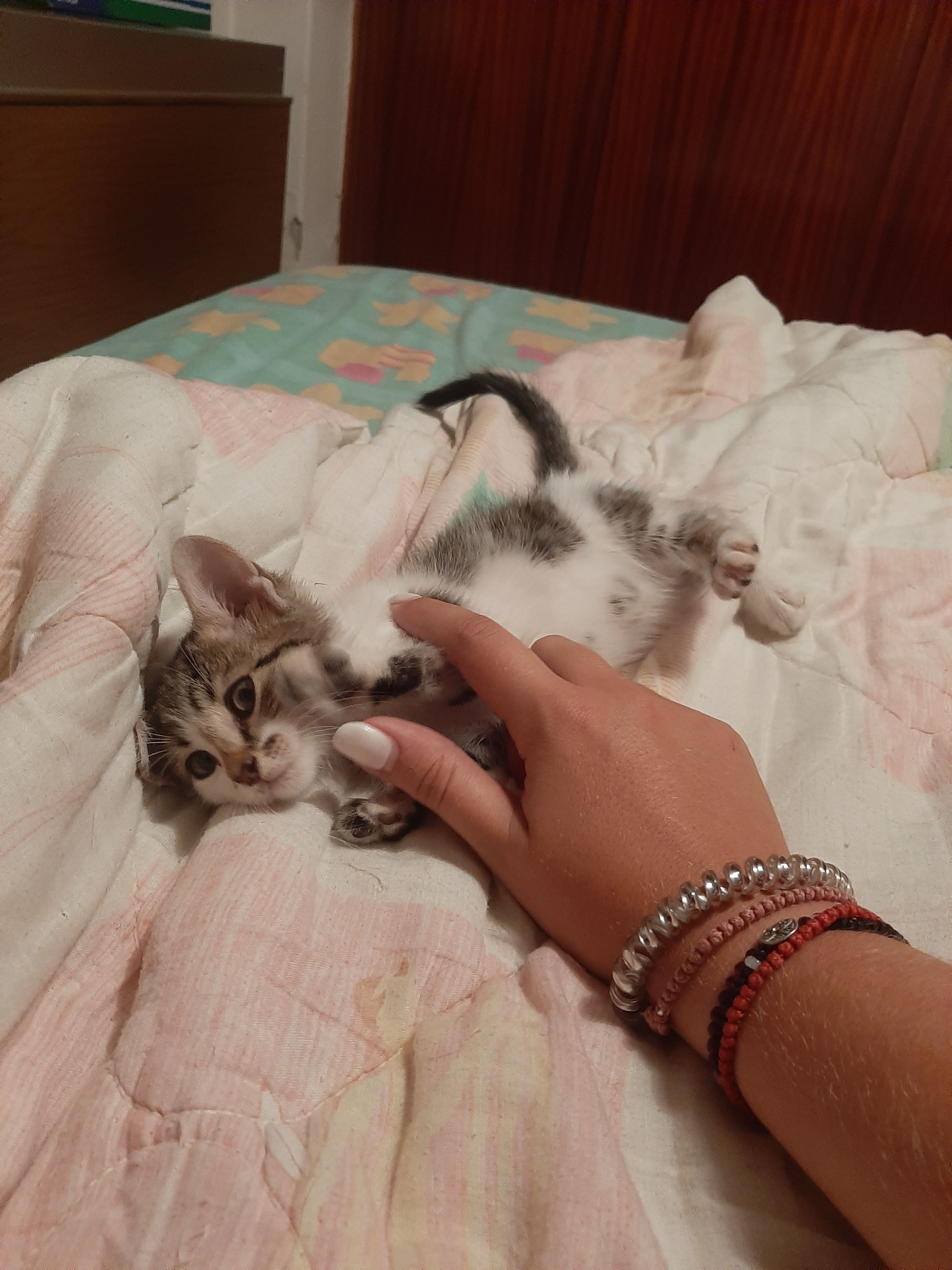 image-9