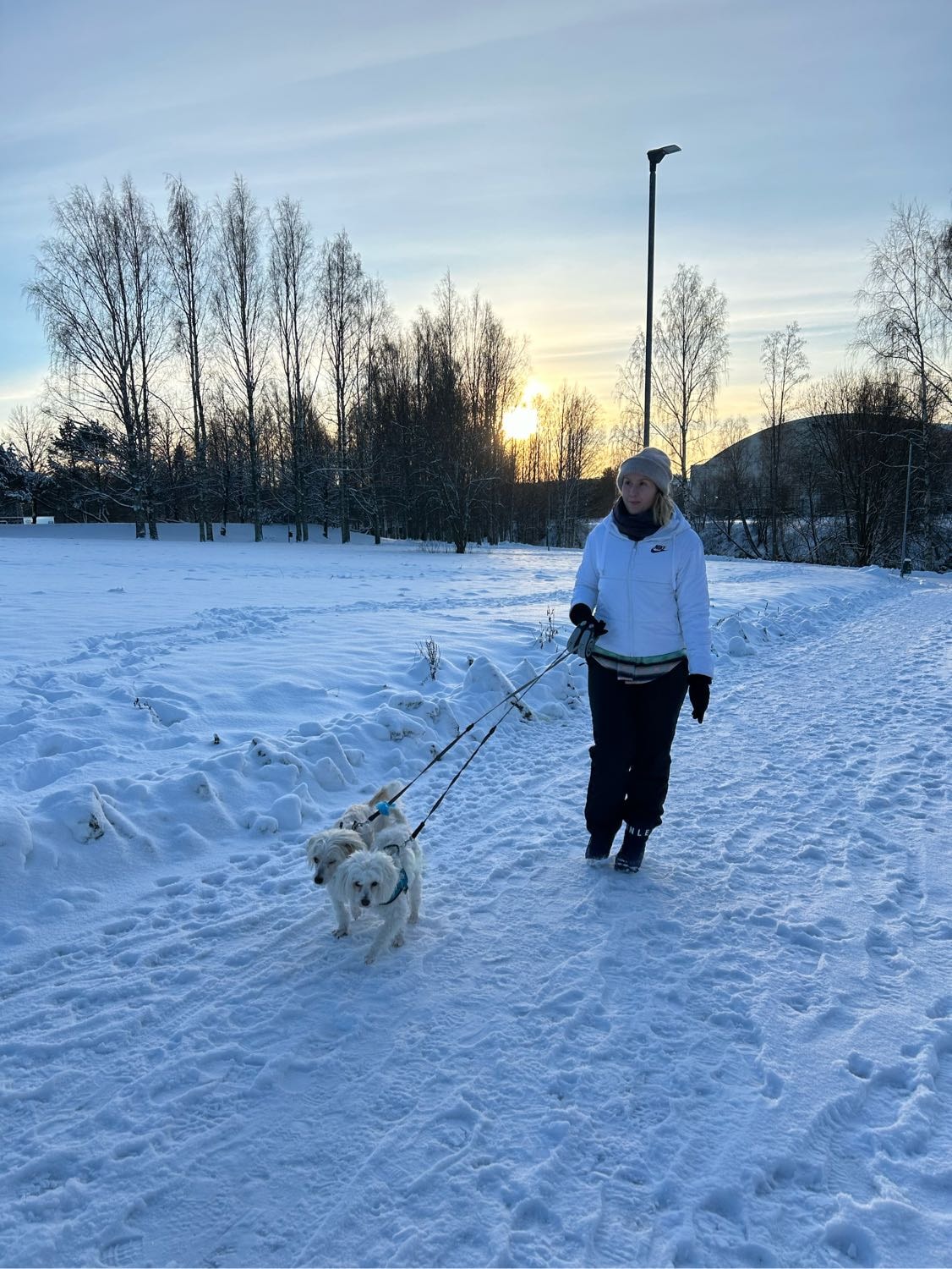 image-5