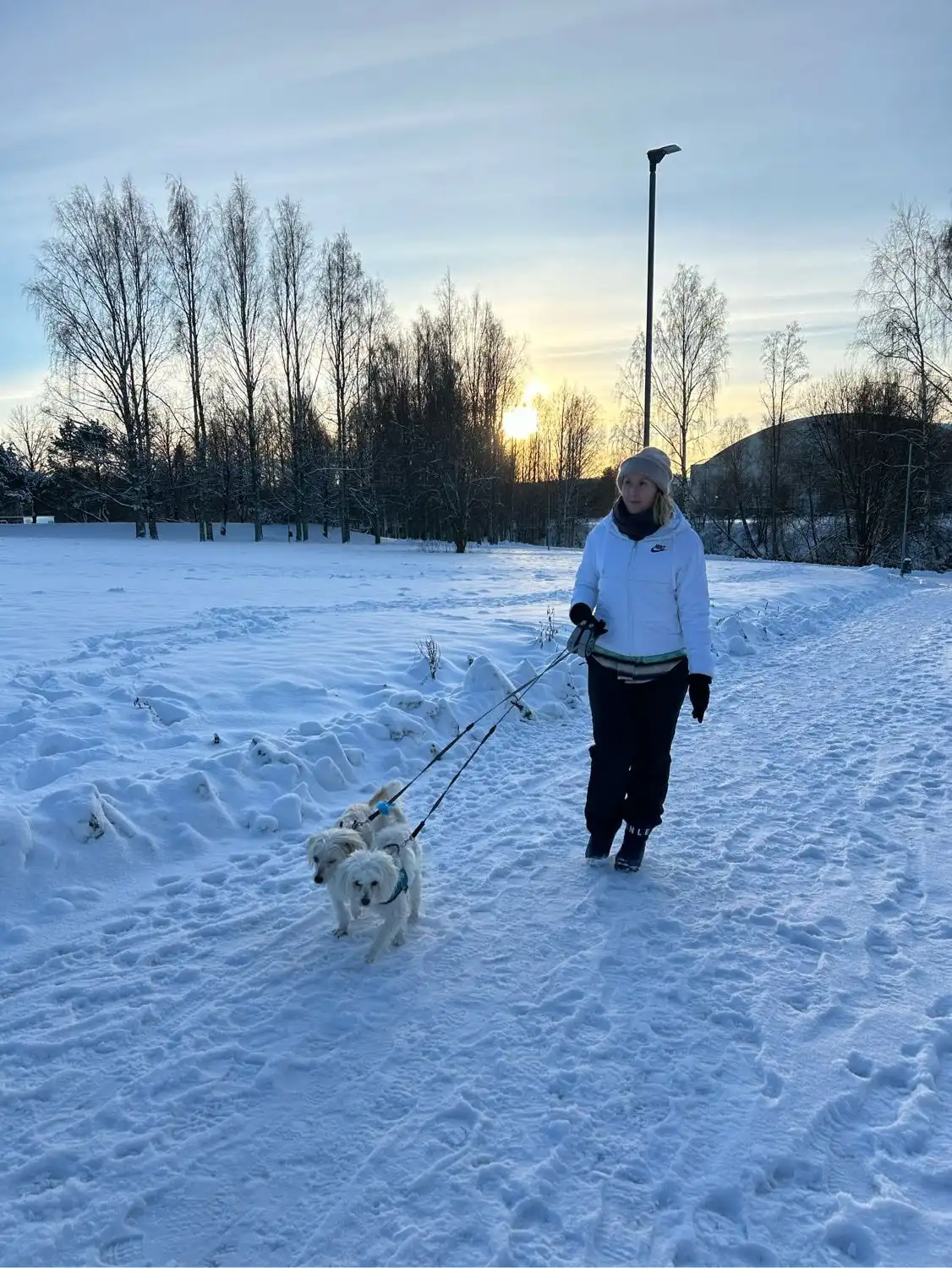 image-5