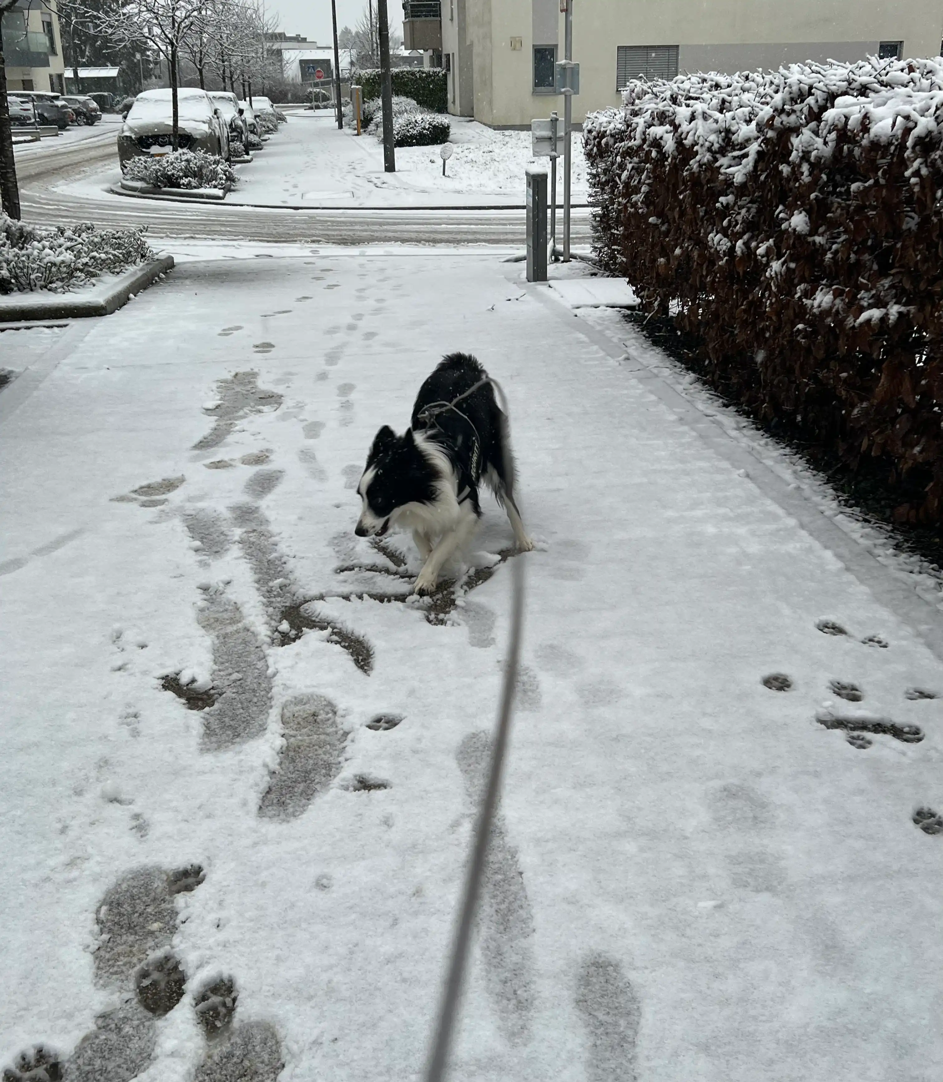 image-6