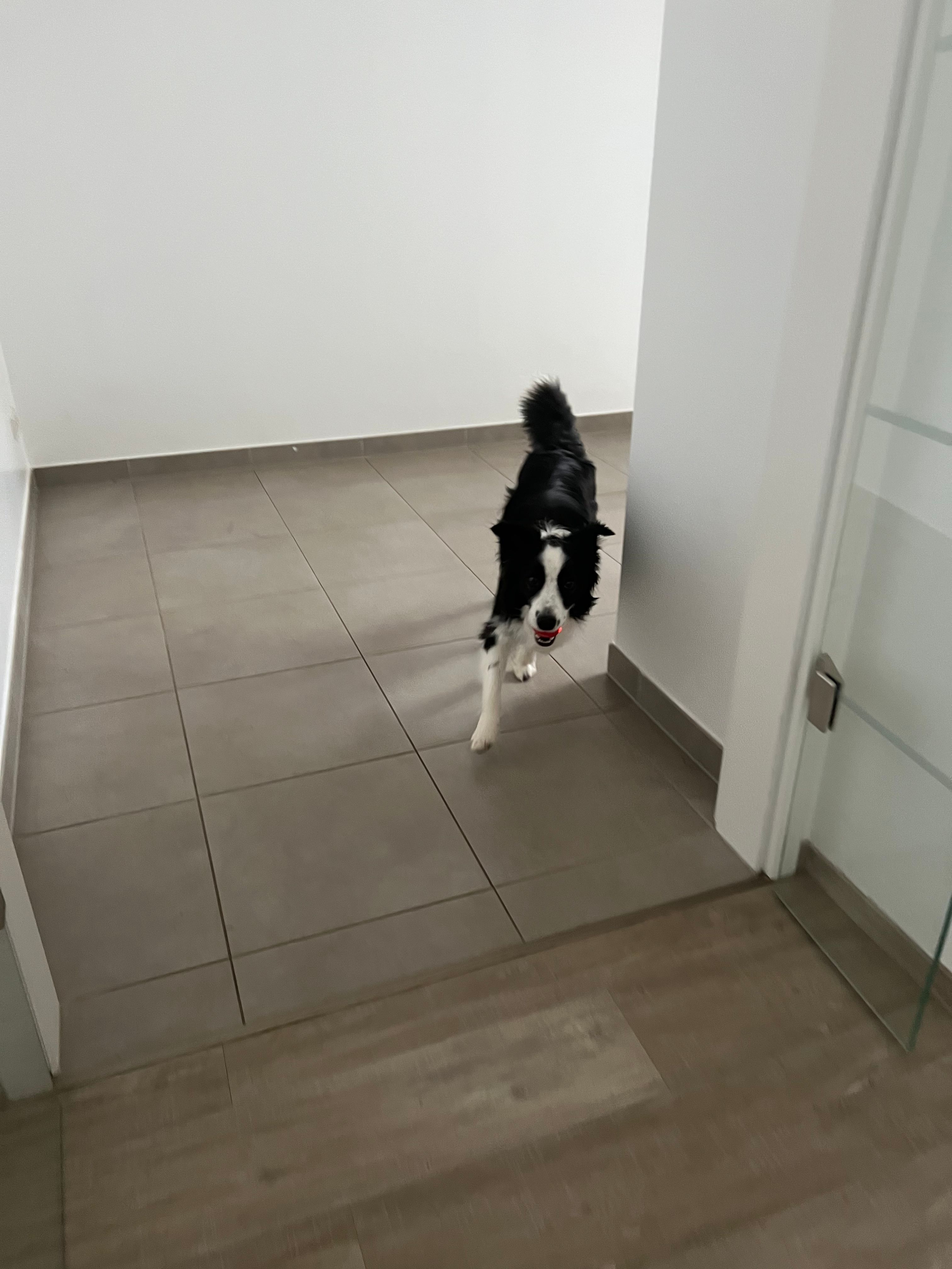 image-18