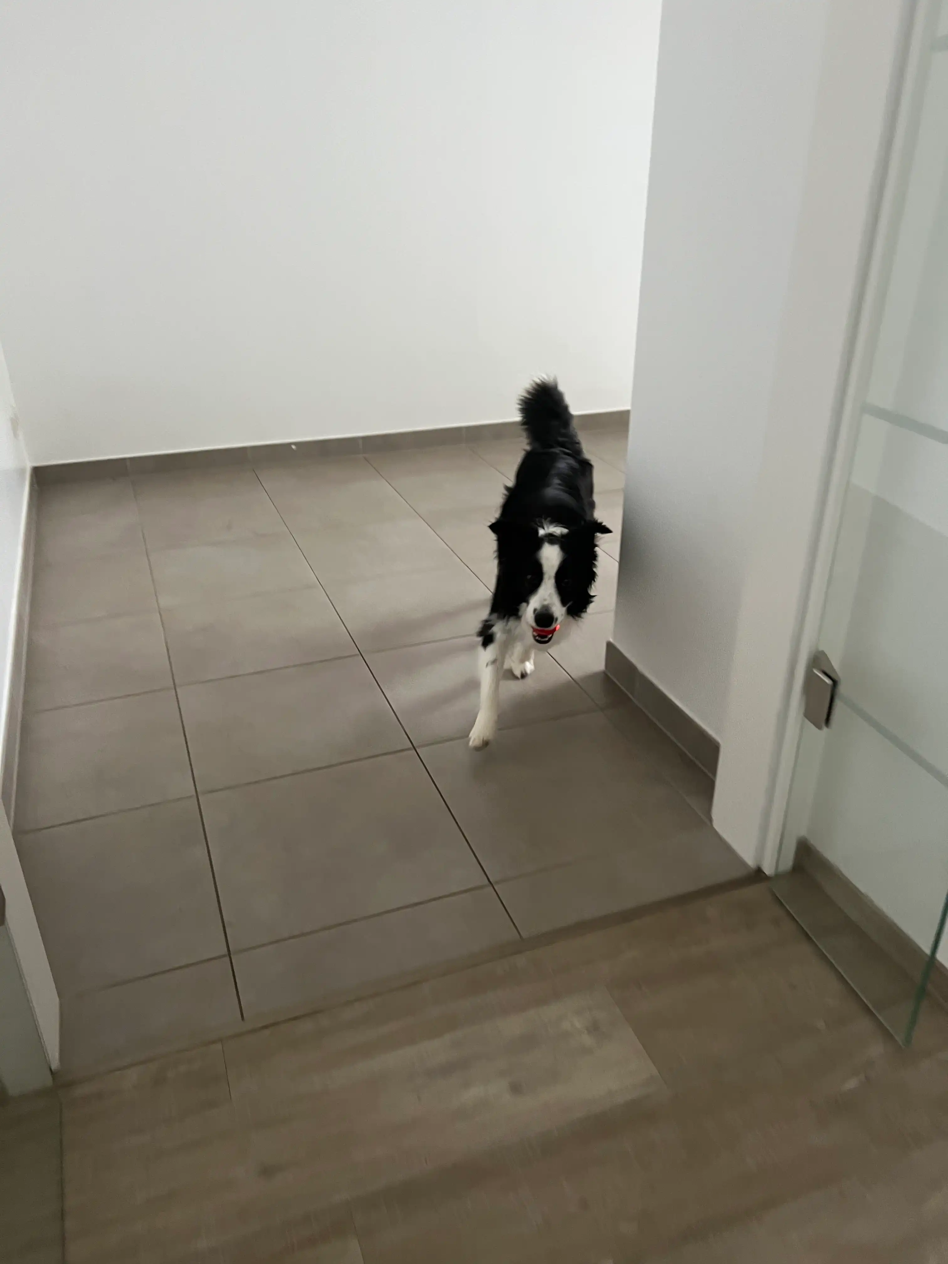 image-18